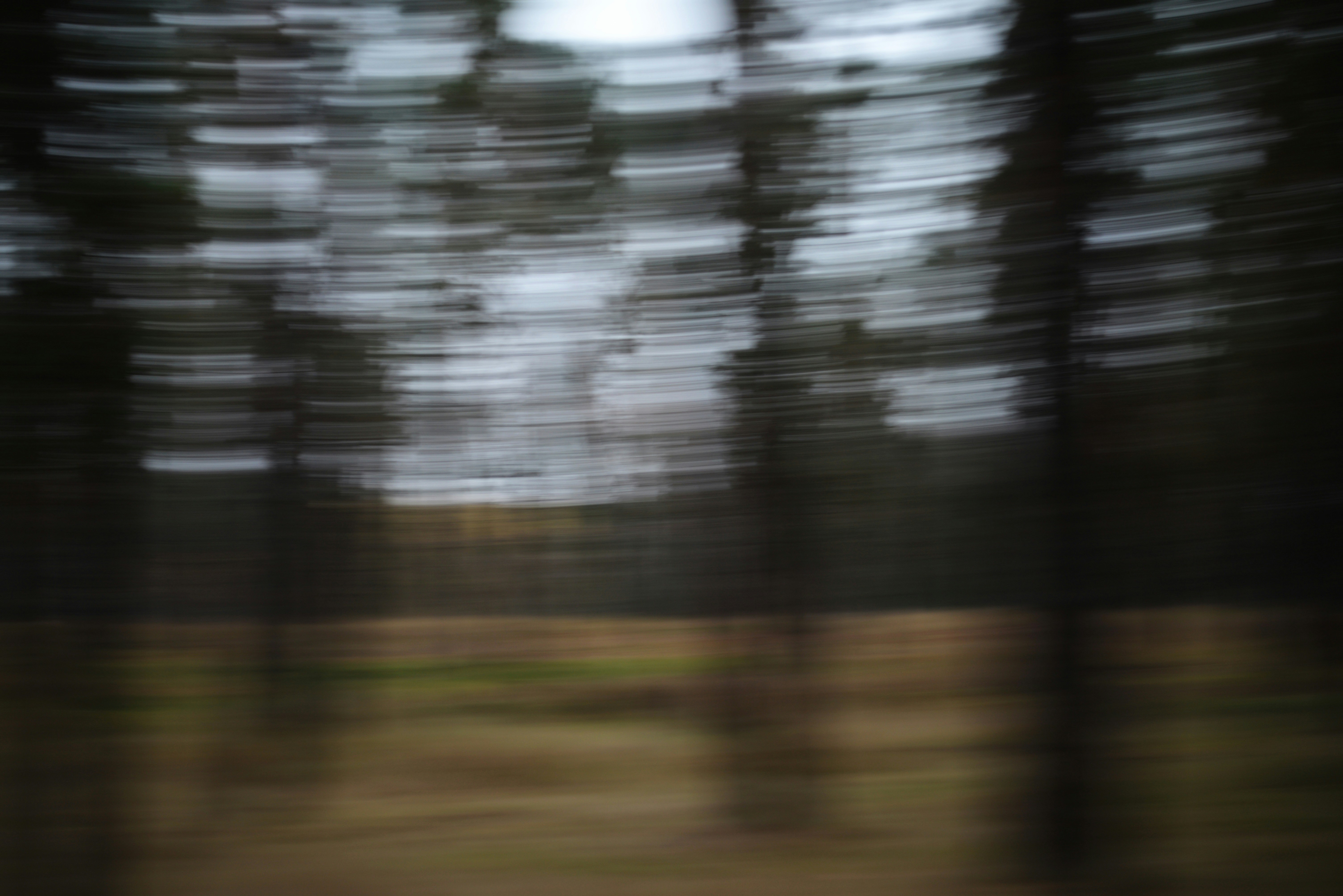 Photo by cherstve_pechivo