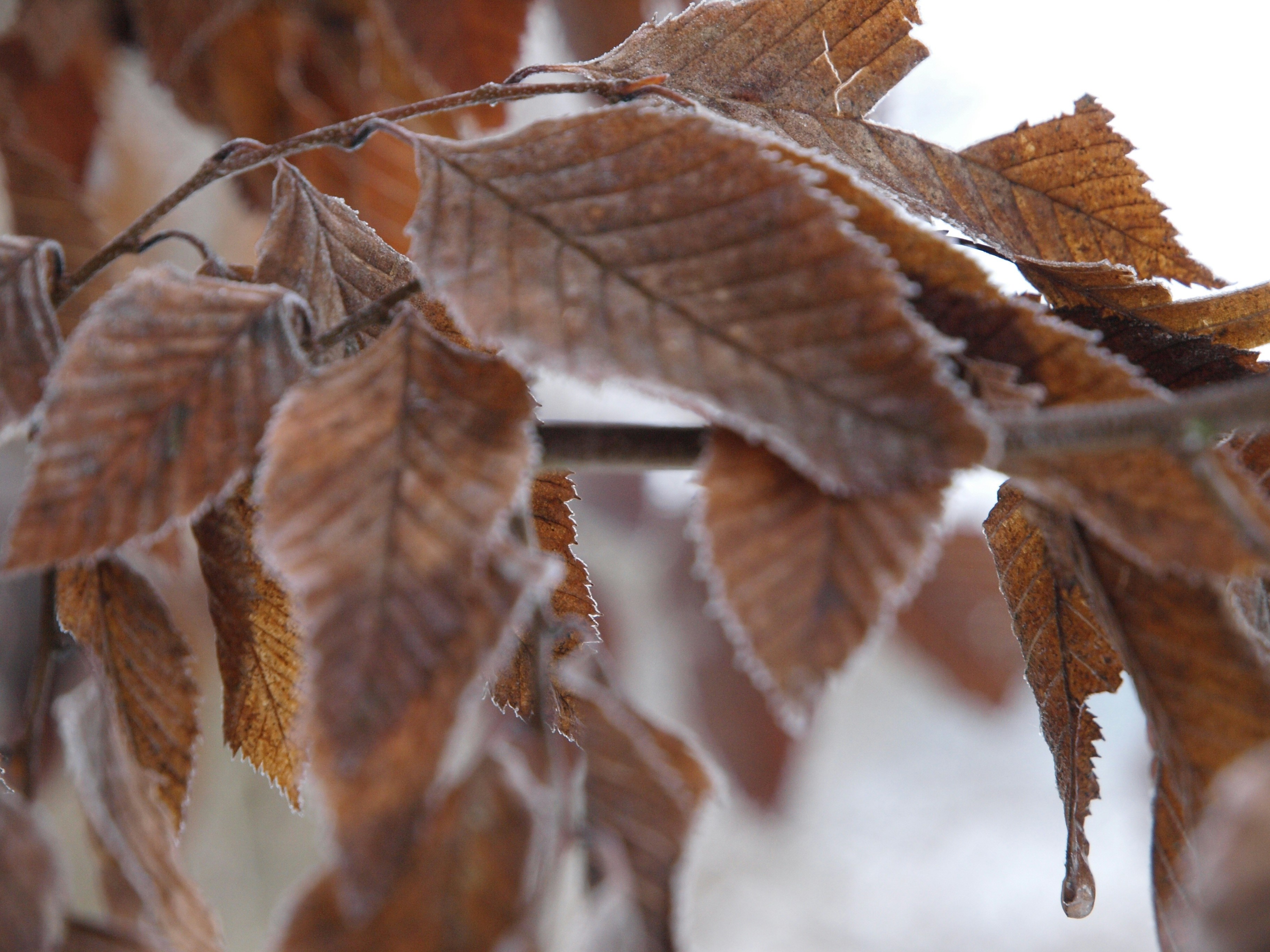 Photo by myworldisblue