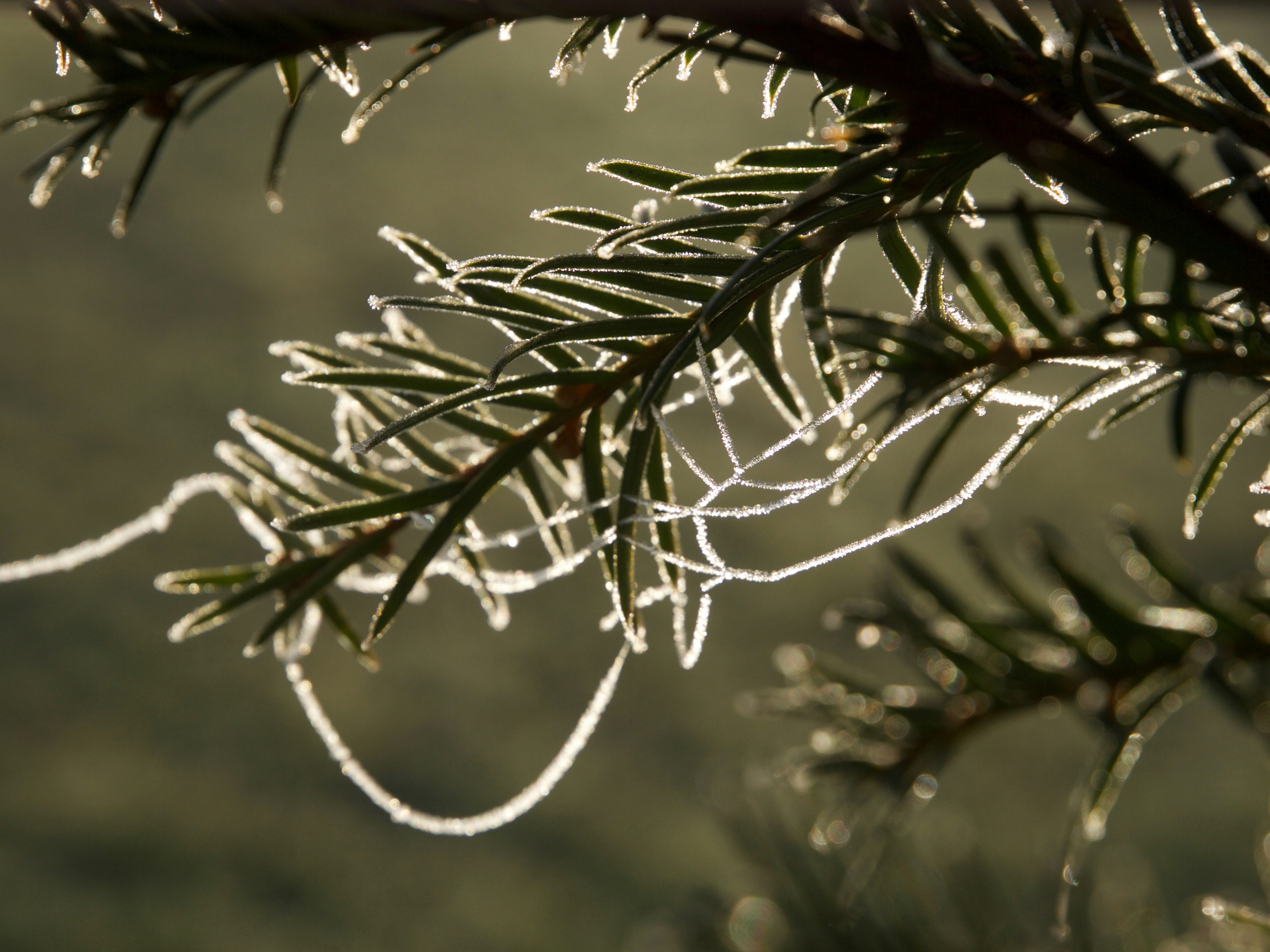 Photo by myworldisblue