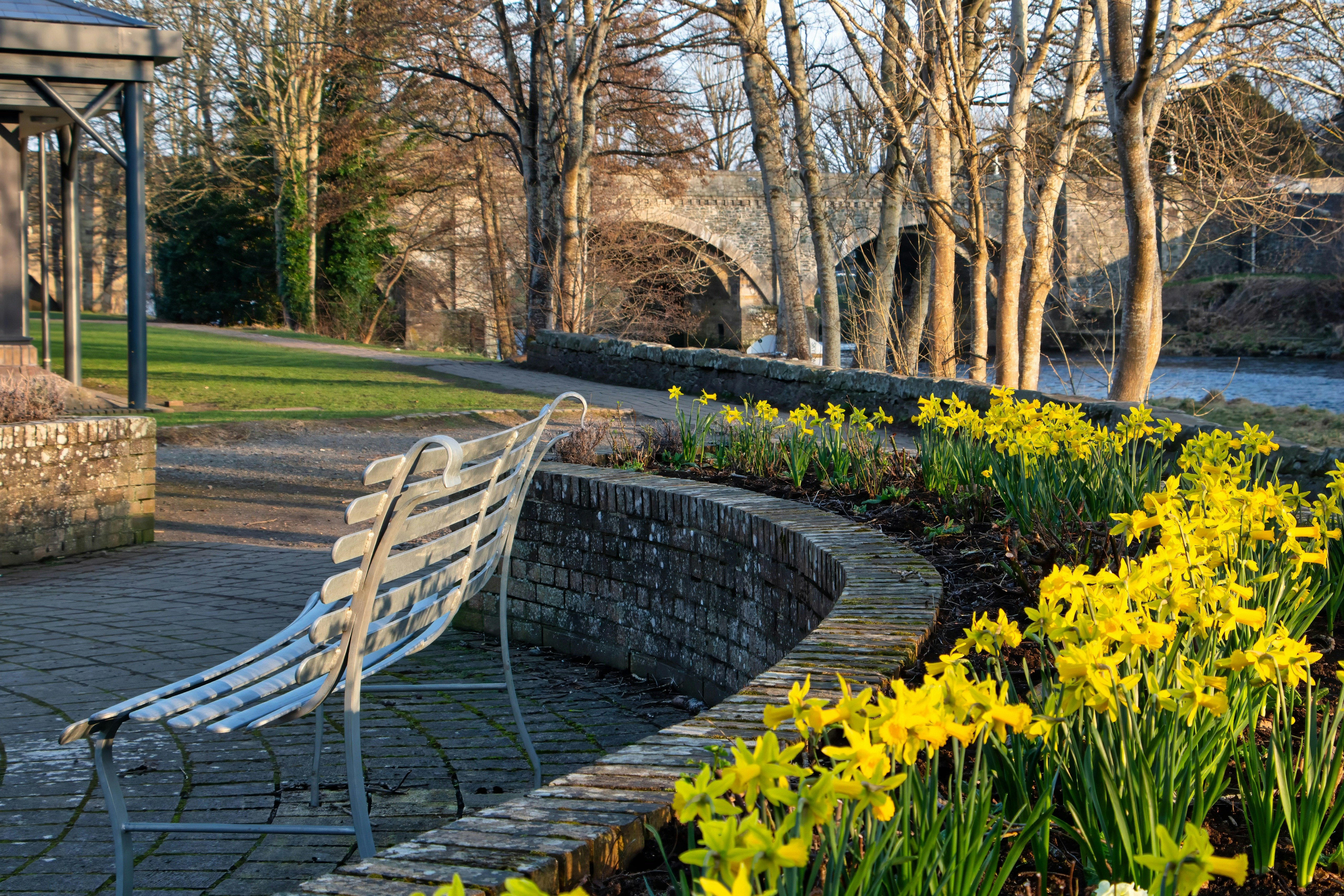 Park bench with daffodils by a river