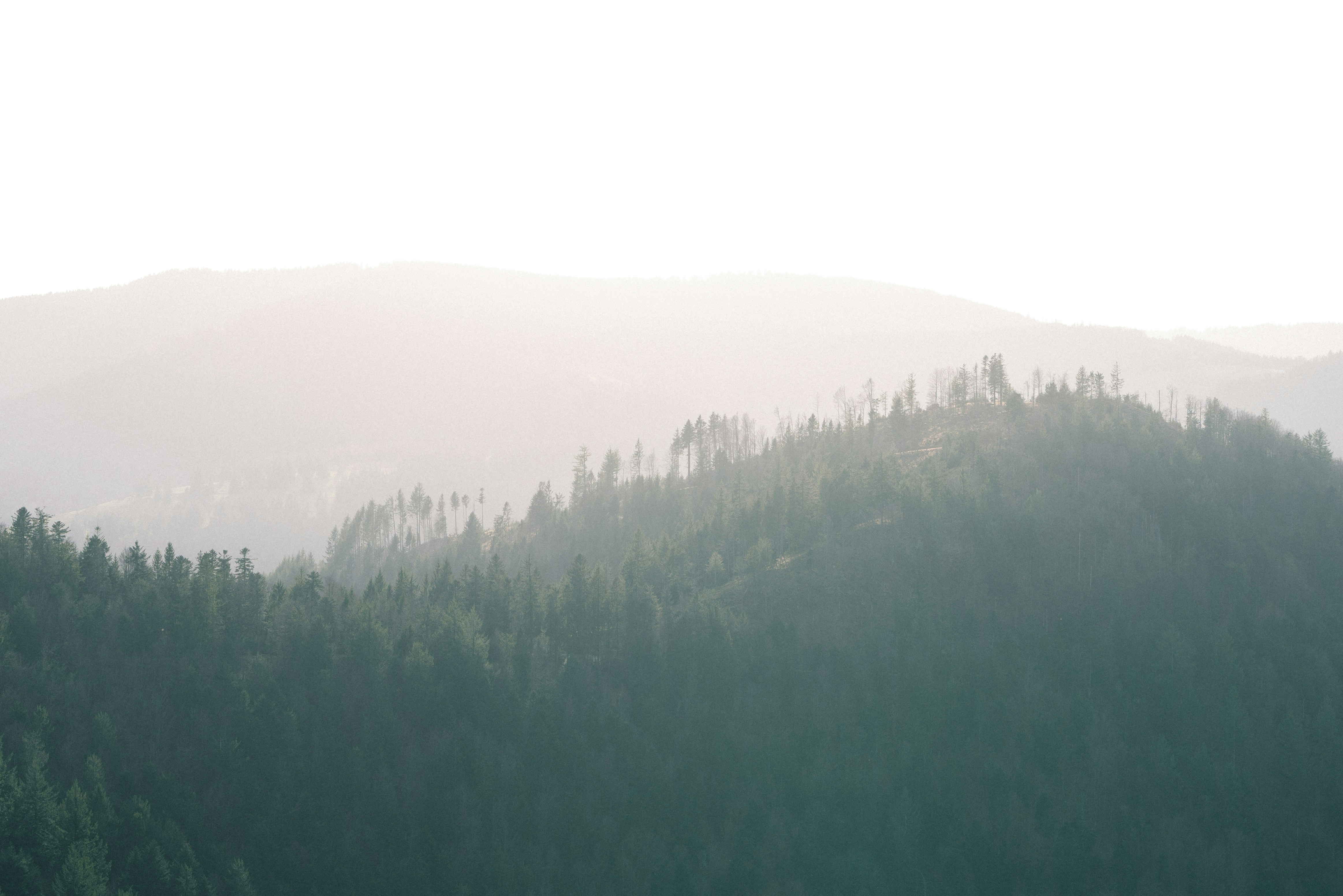 Photo by freiburgermax