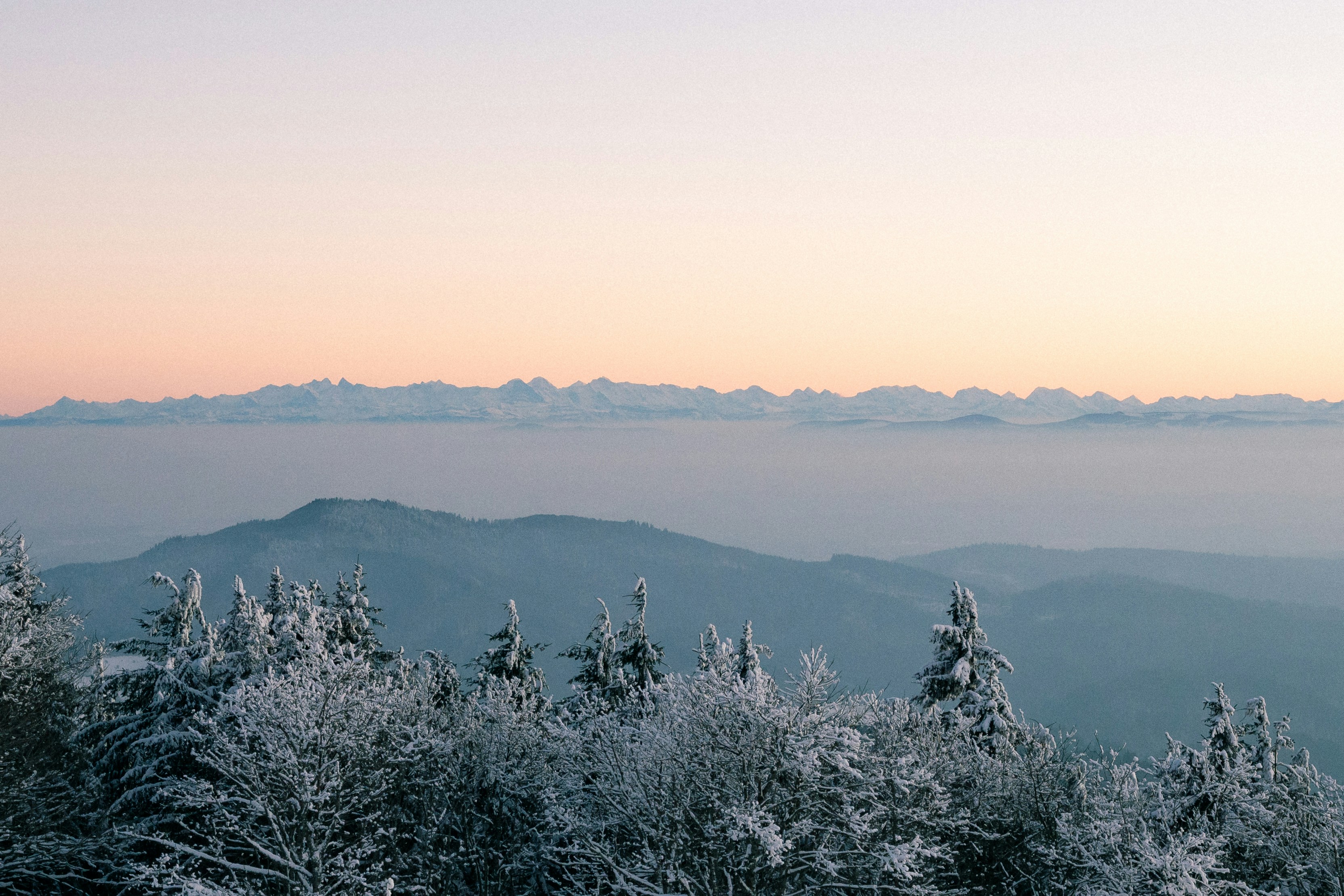 Photo by freiburgermax