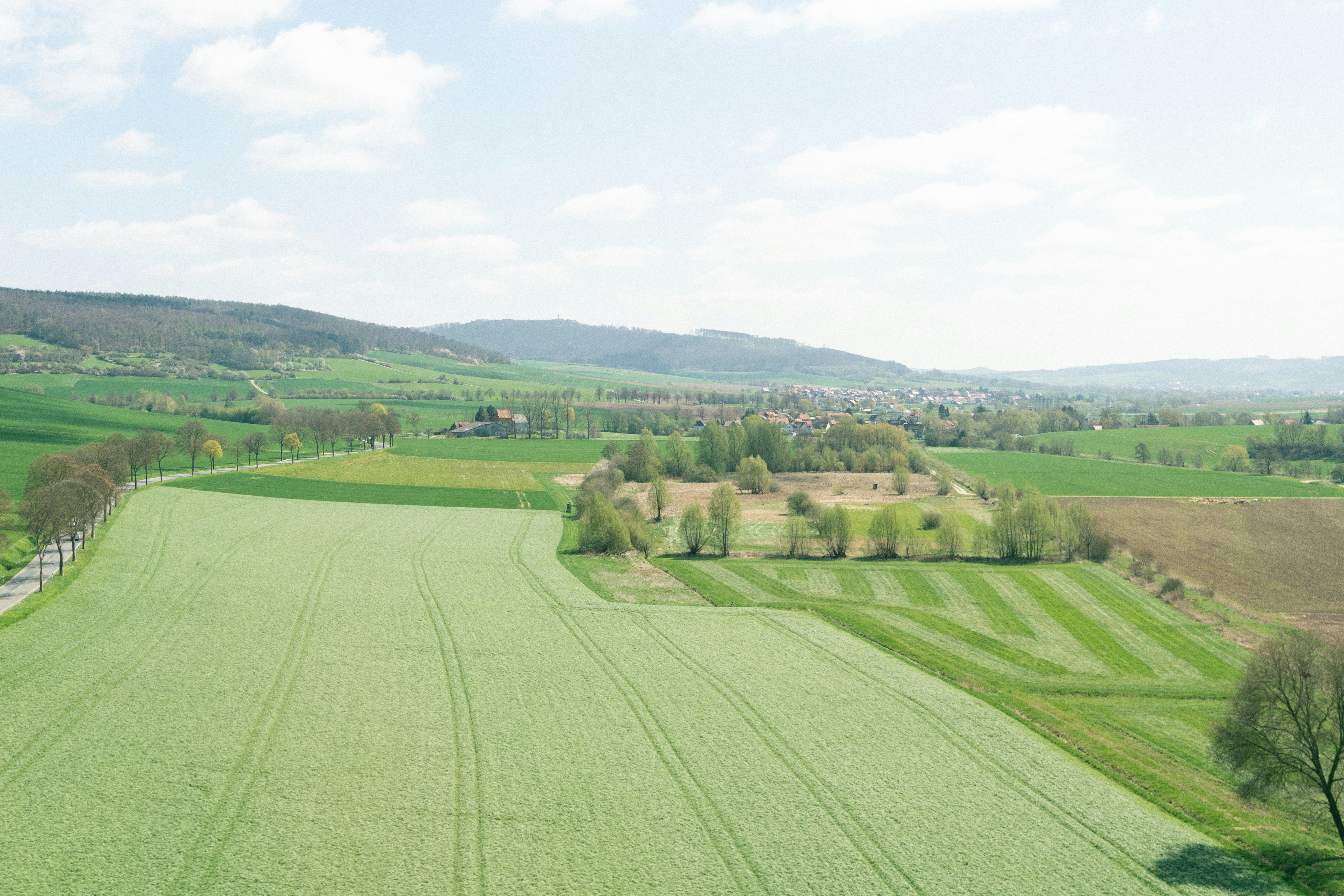 Photo by freiburgermax