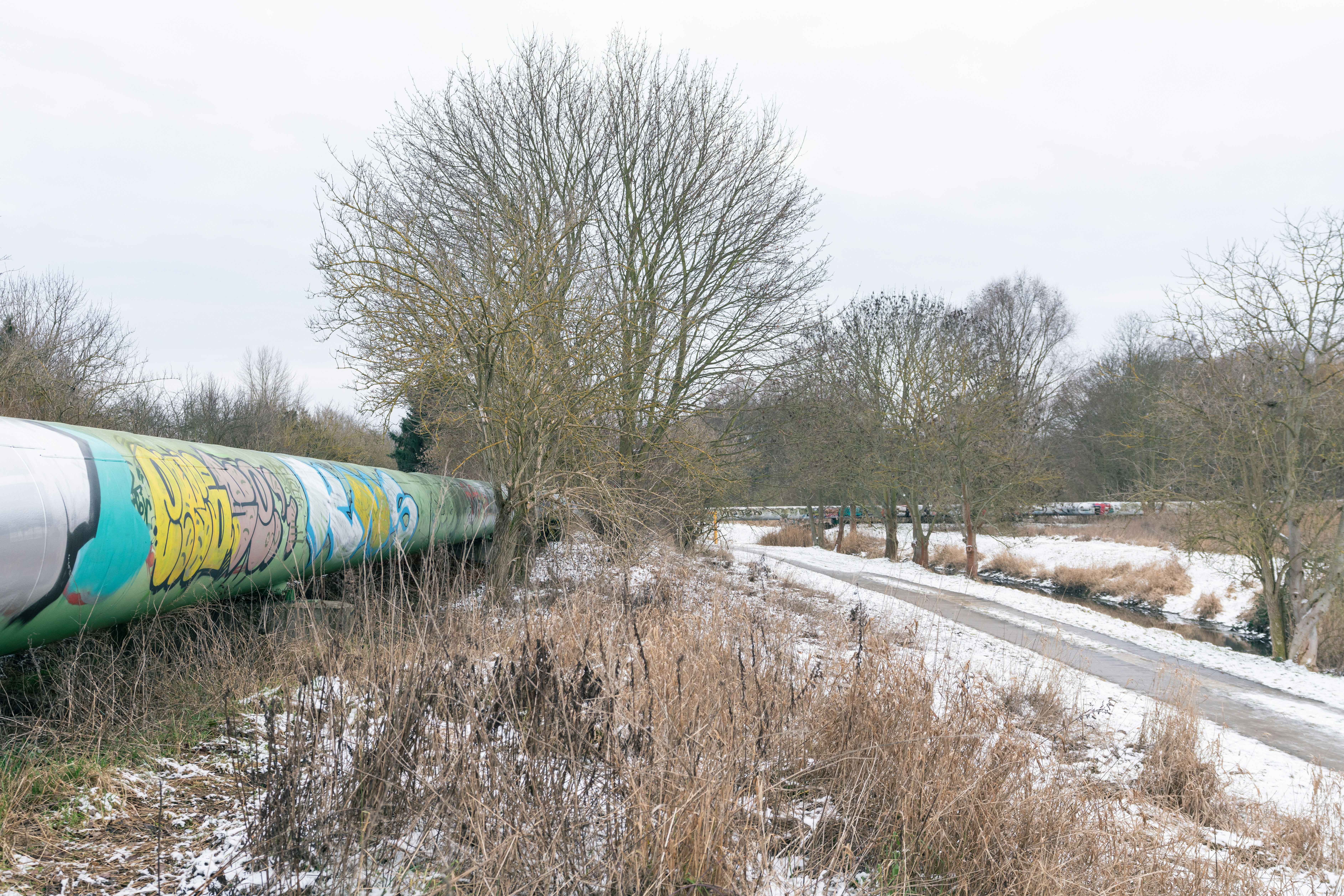 Graffiti-covered pipe in a snowy landscape