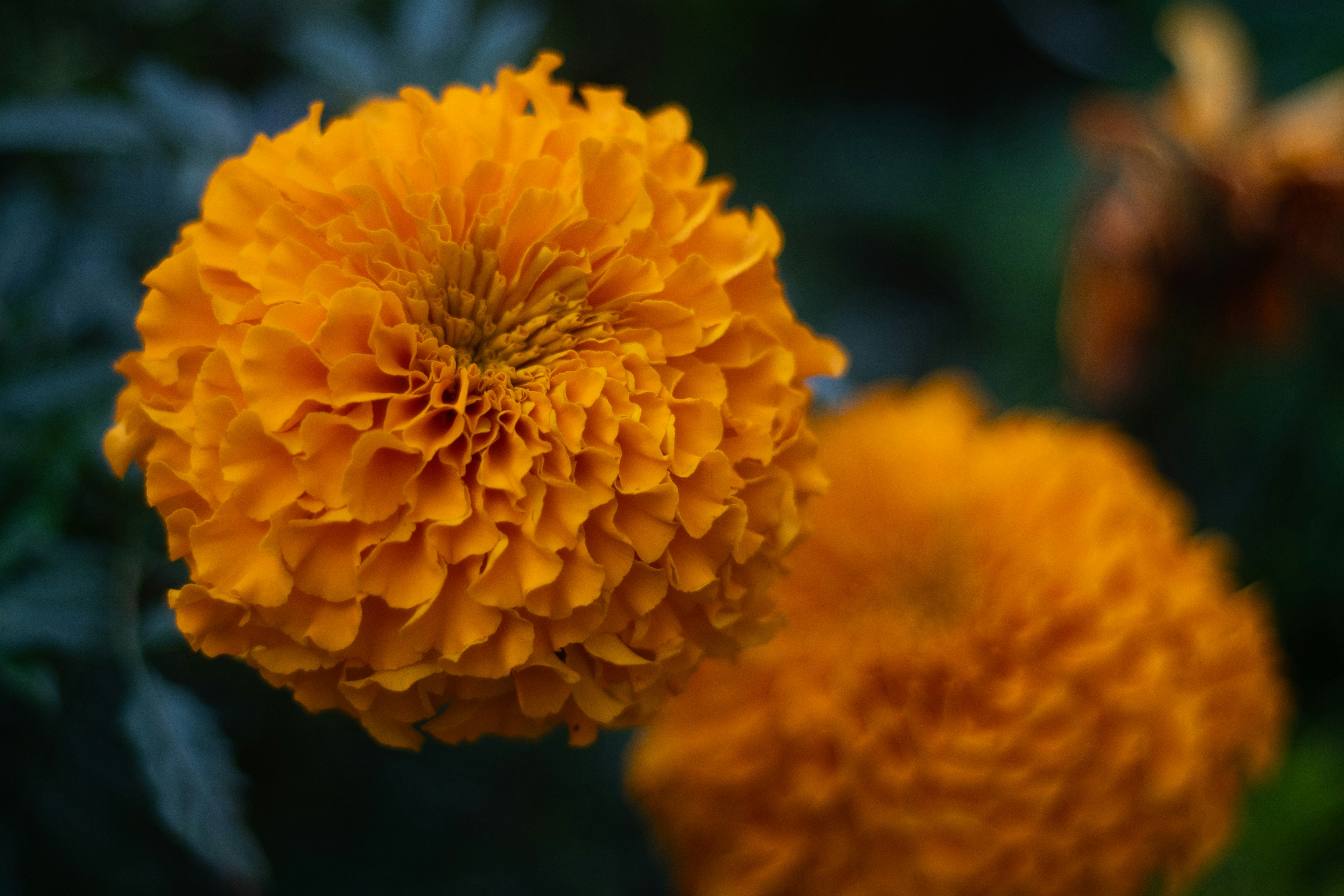 Photo by remco_creative