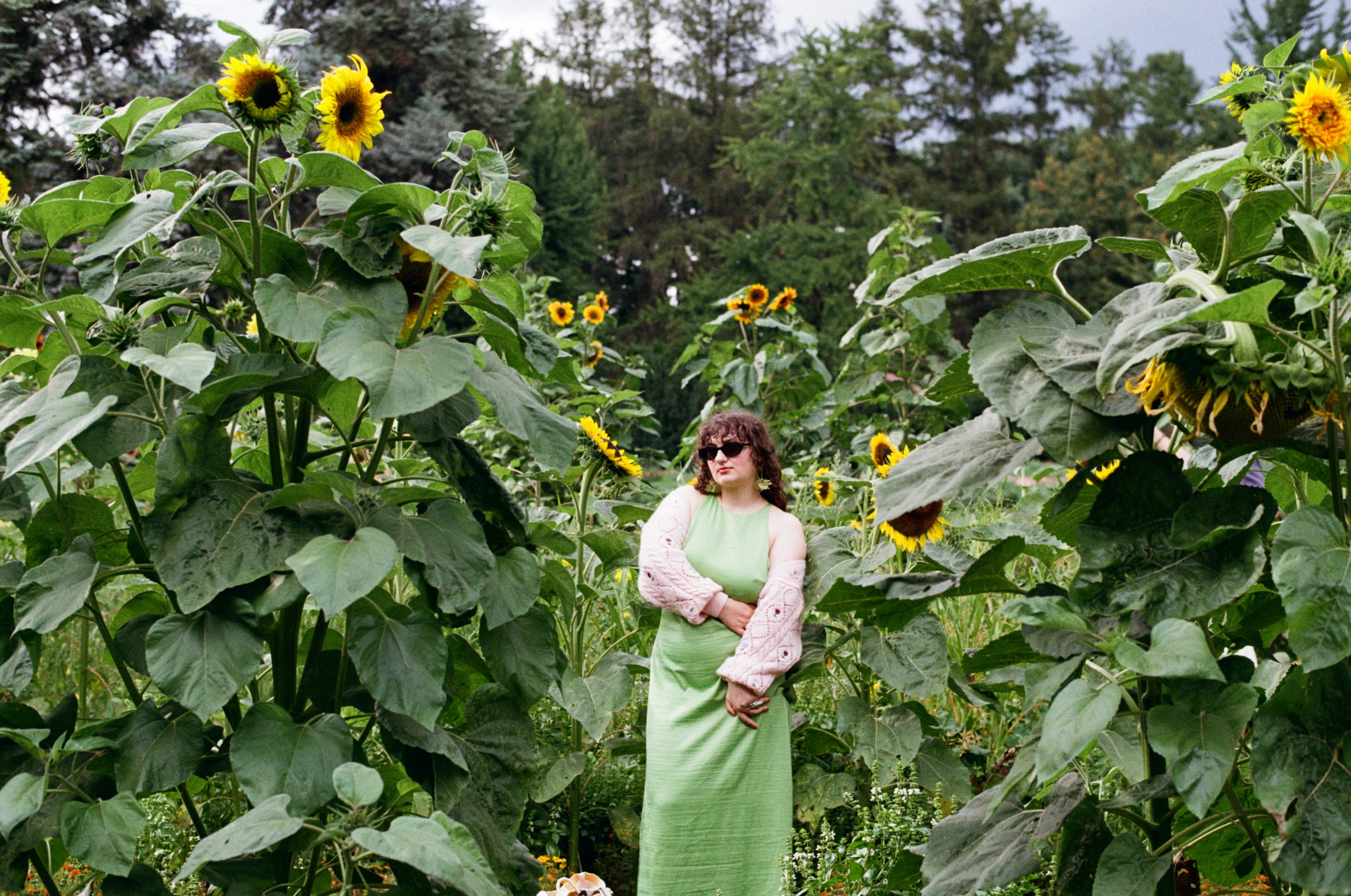 Woman standing in a tall sunflower field