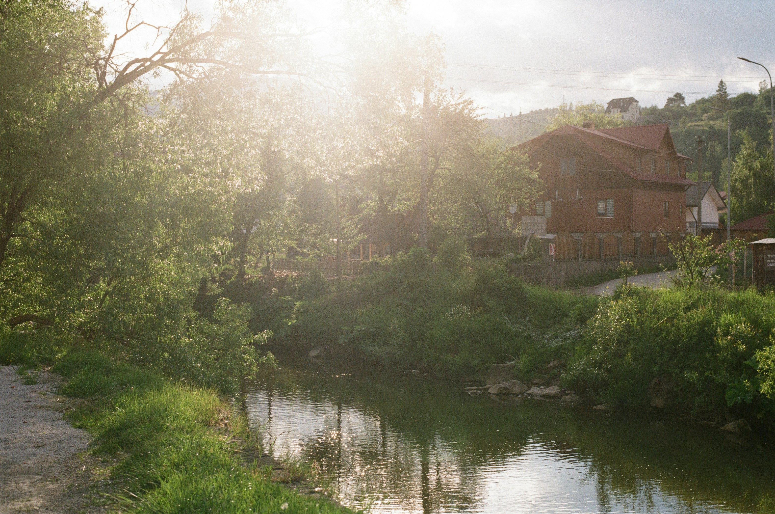 Sunlight streams through trees onto a river and house.