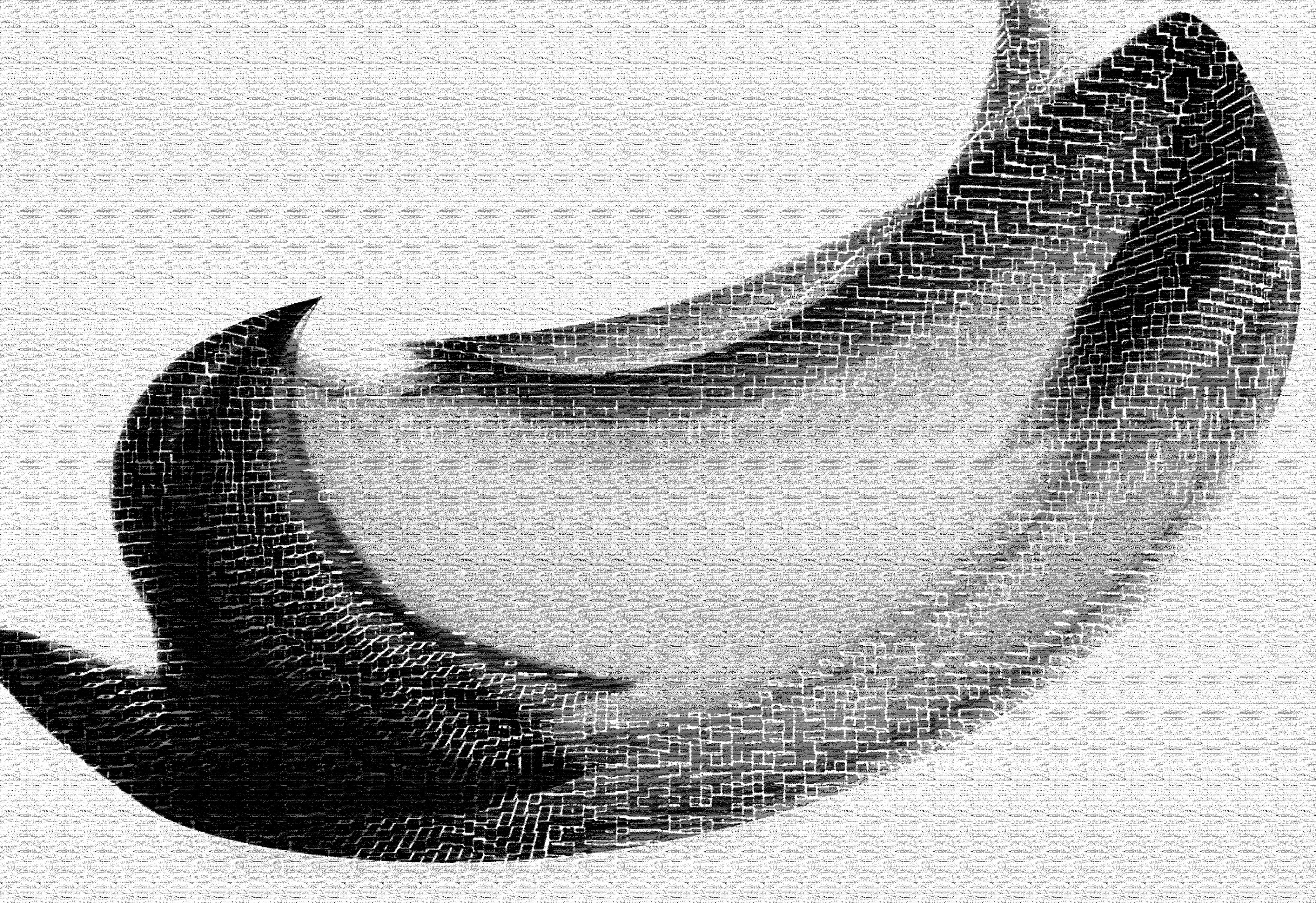 Black and white abstract curved shapes