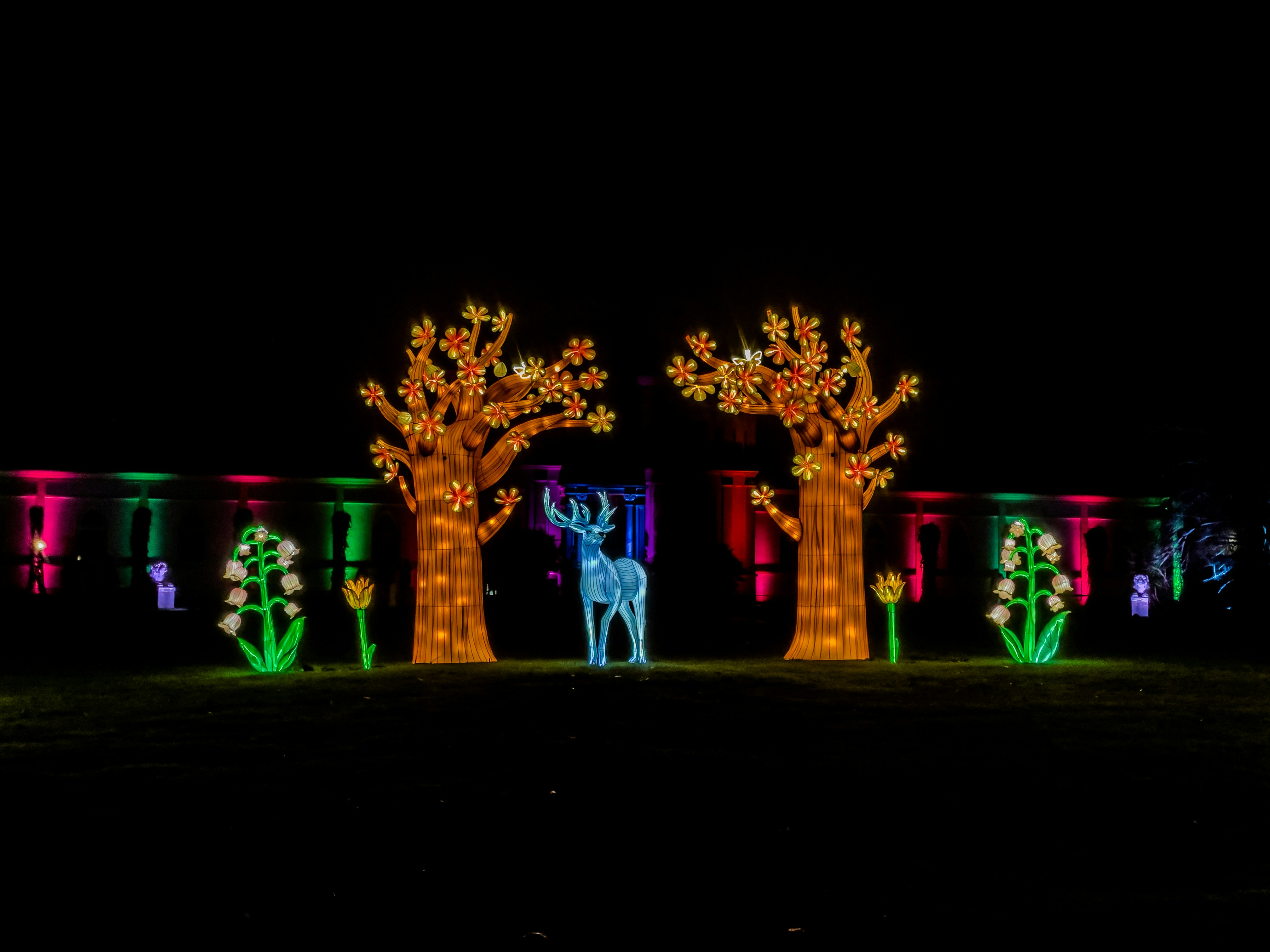 Illuminated deer and trees at night display
