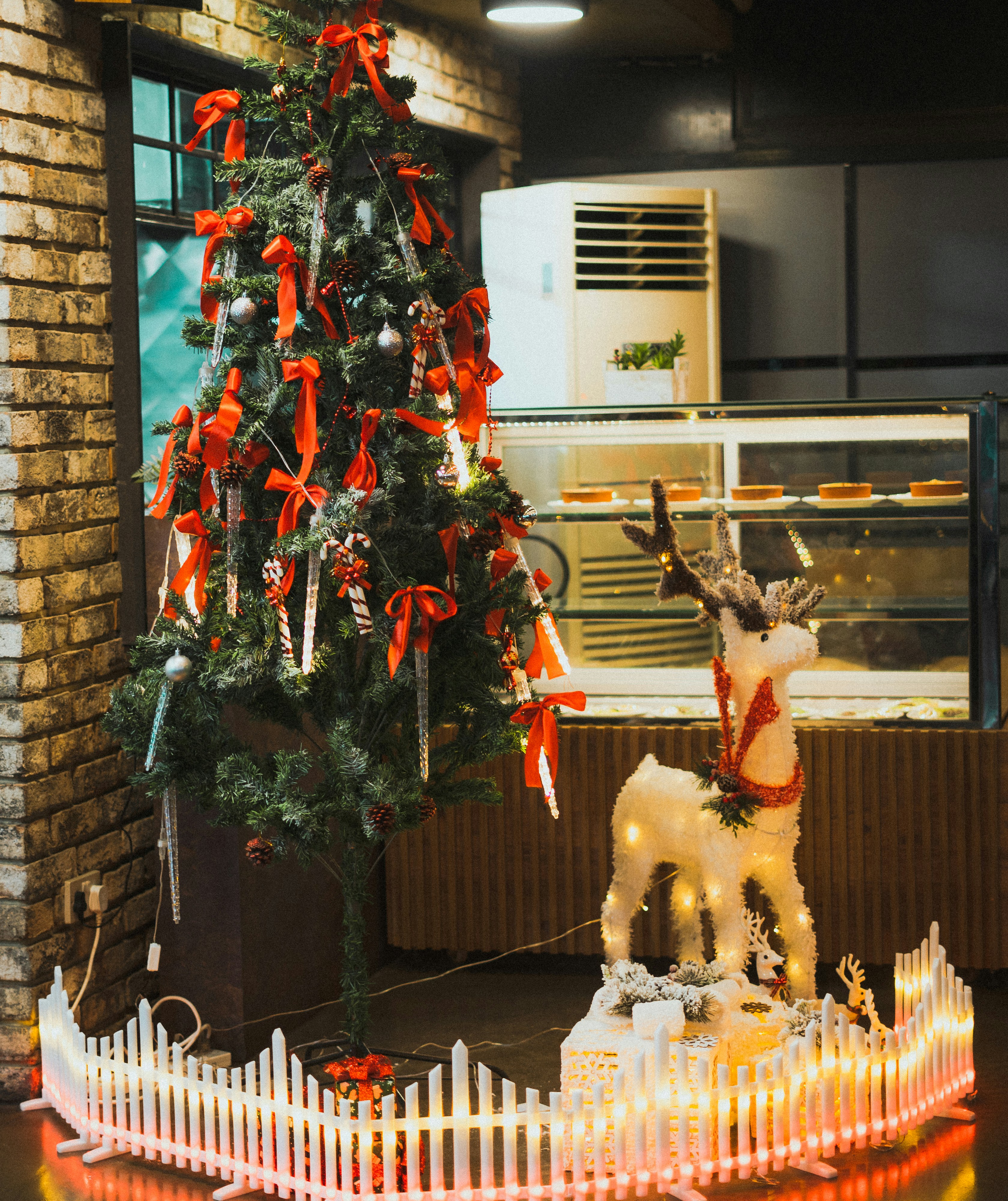 반려견 동반 가능한 크리스마스 테마 카페 이미지2