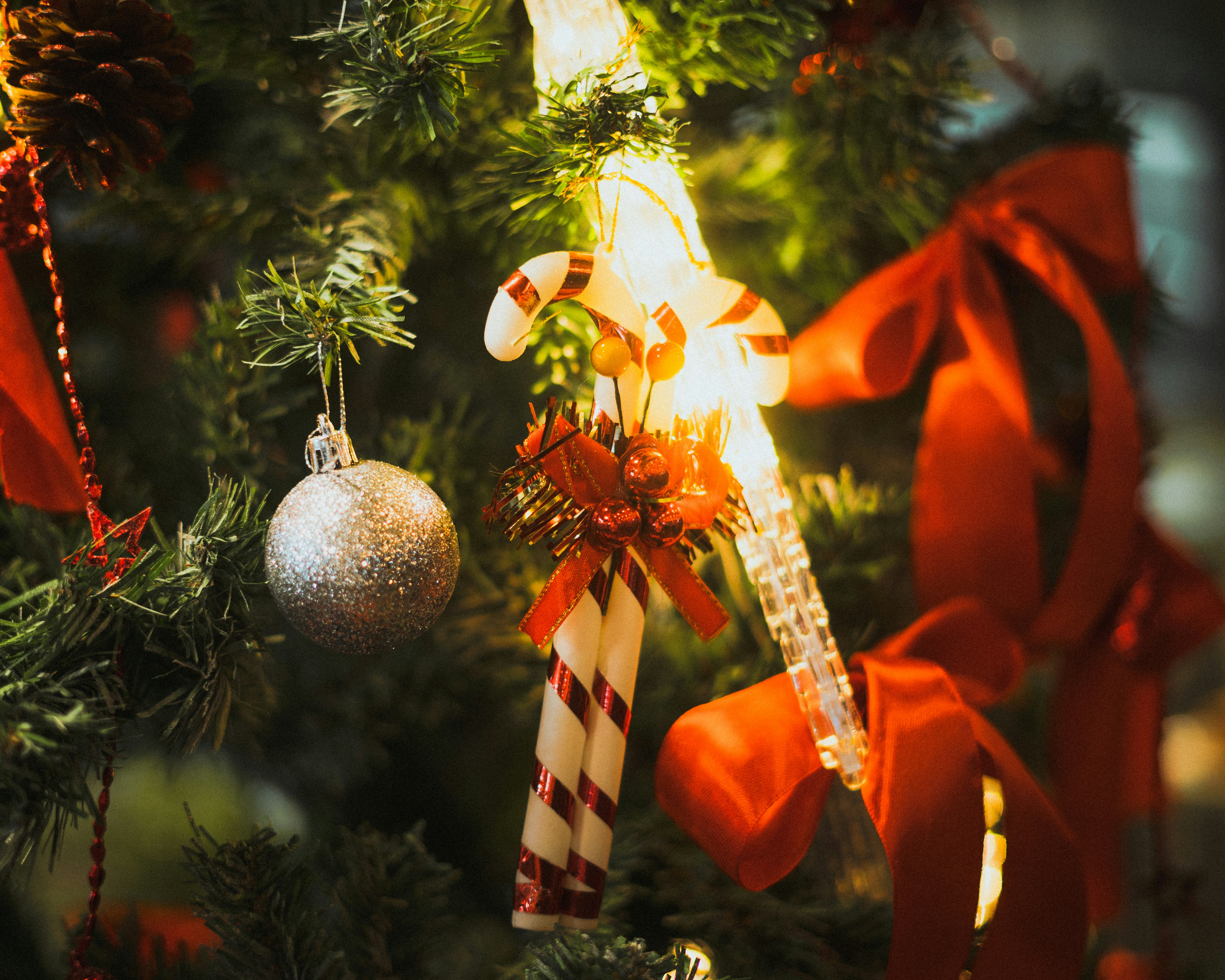 Photo by chriscreations__