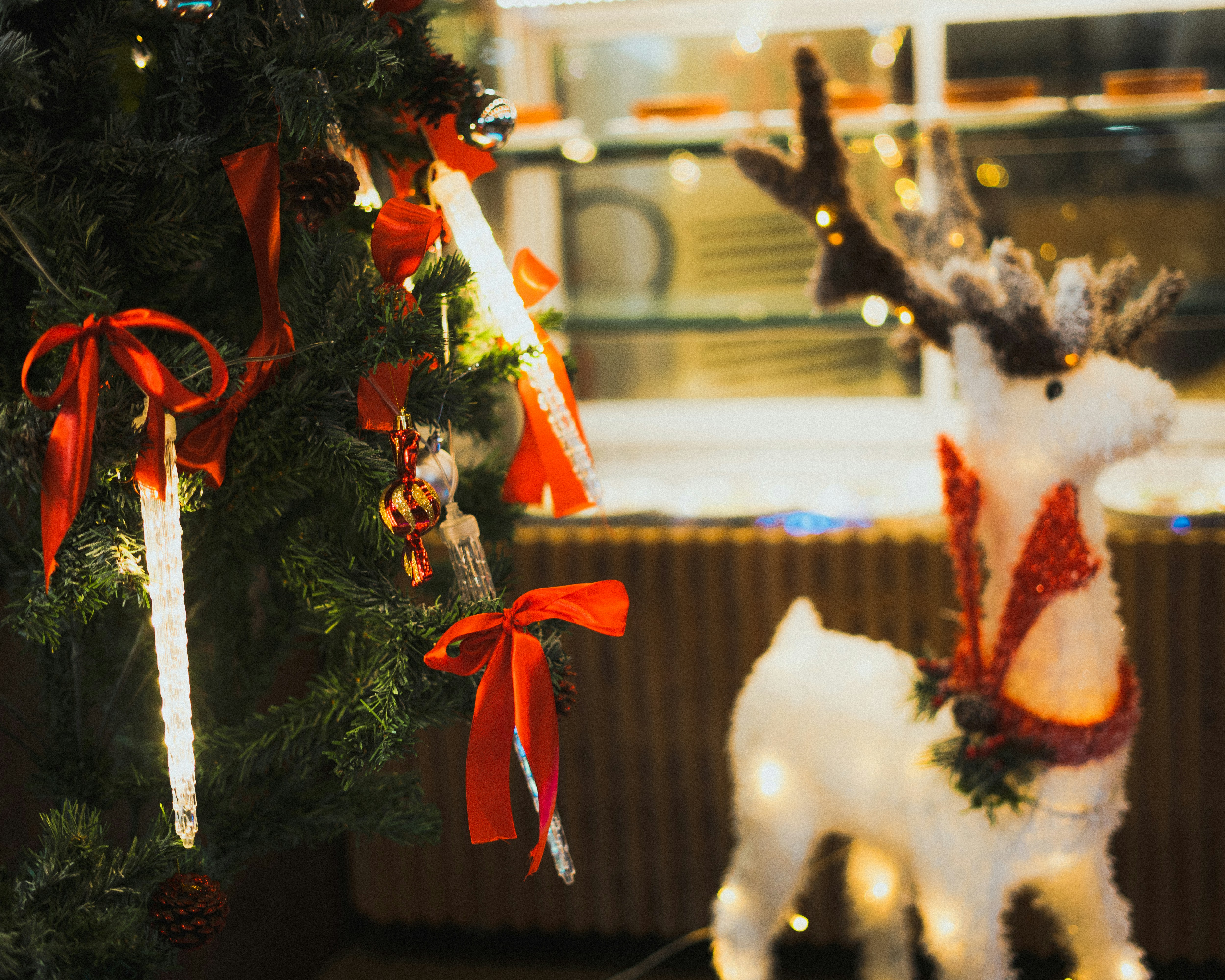 Photo by chriscreations__