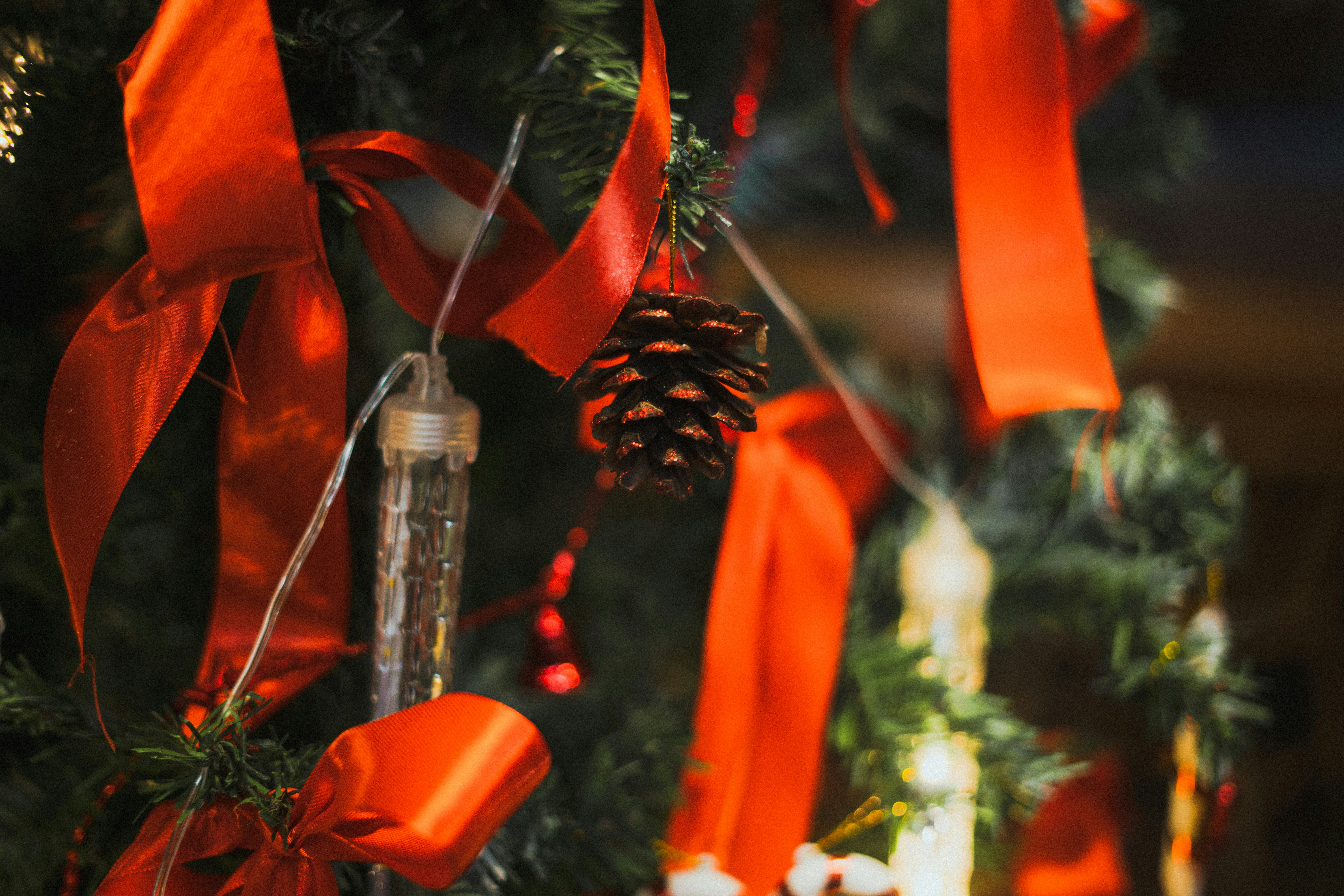 Photo by chriscreations__