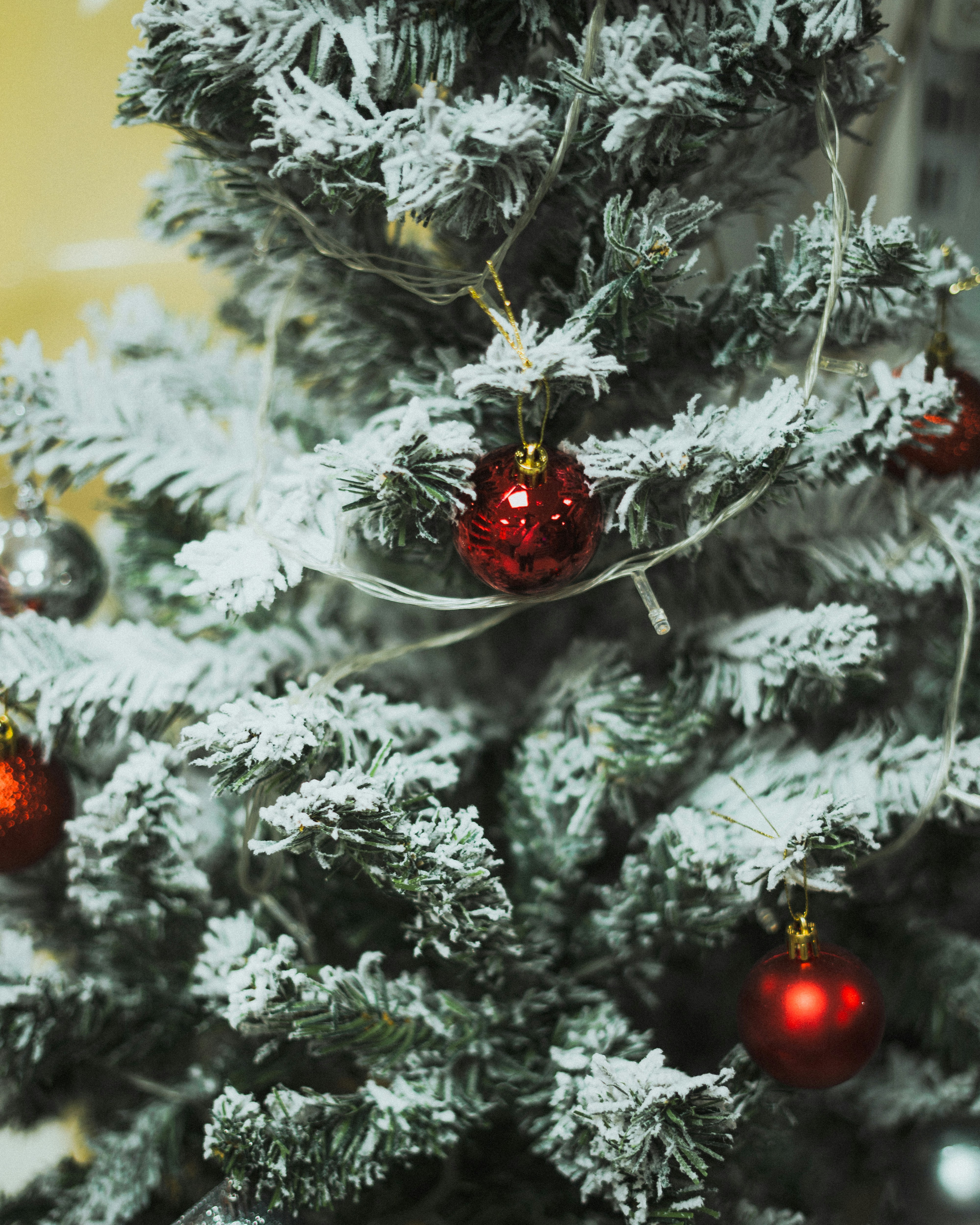 Photo by chriscreations__