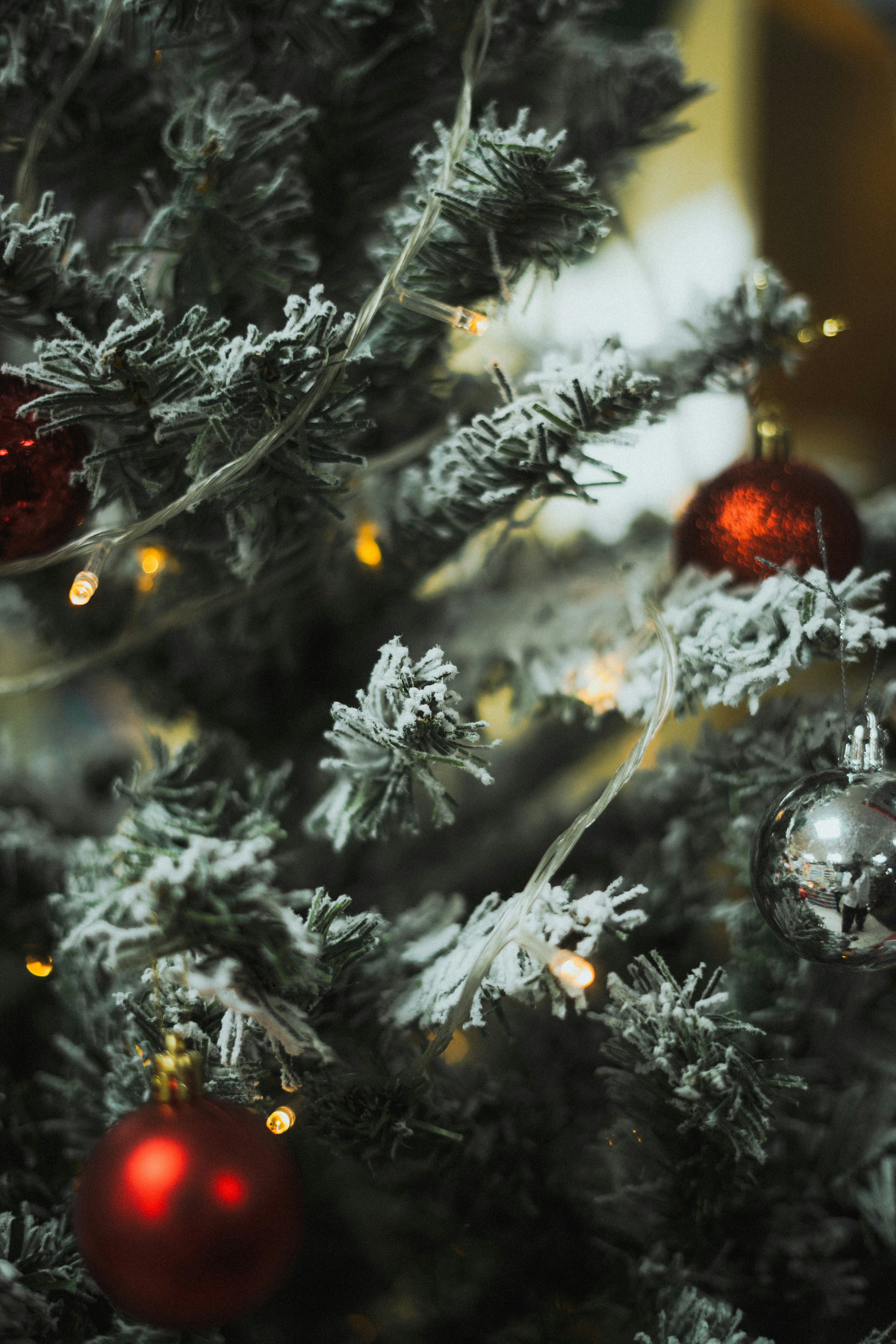 Photo by chriscreations__