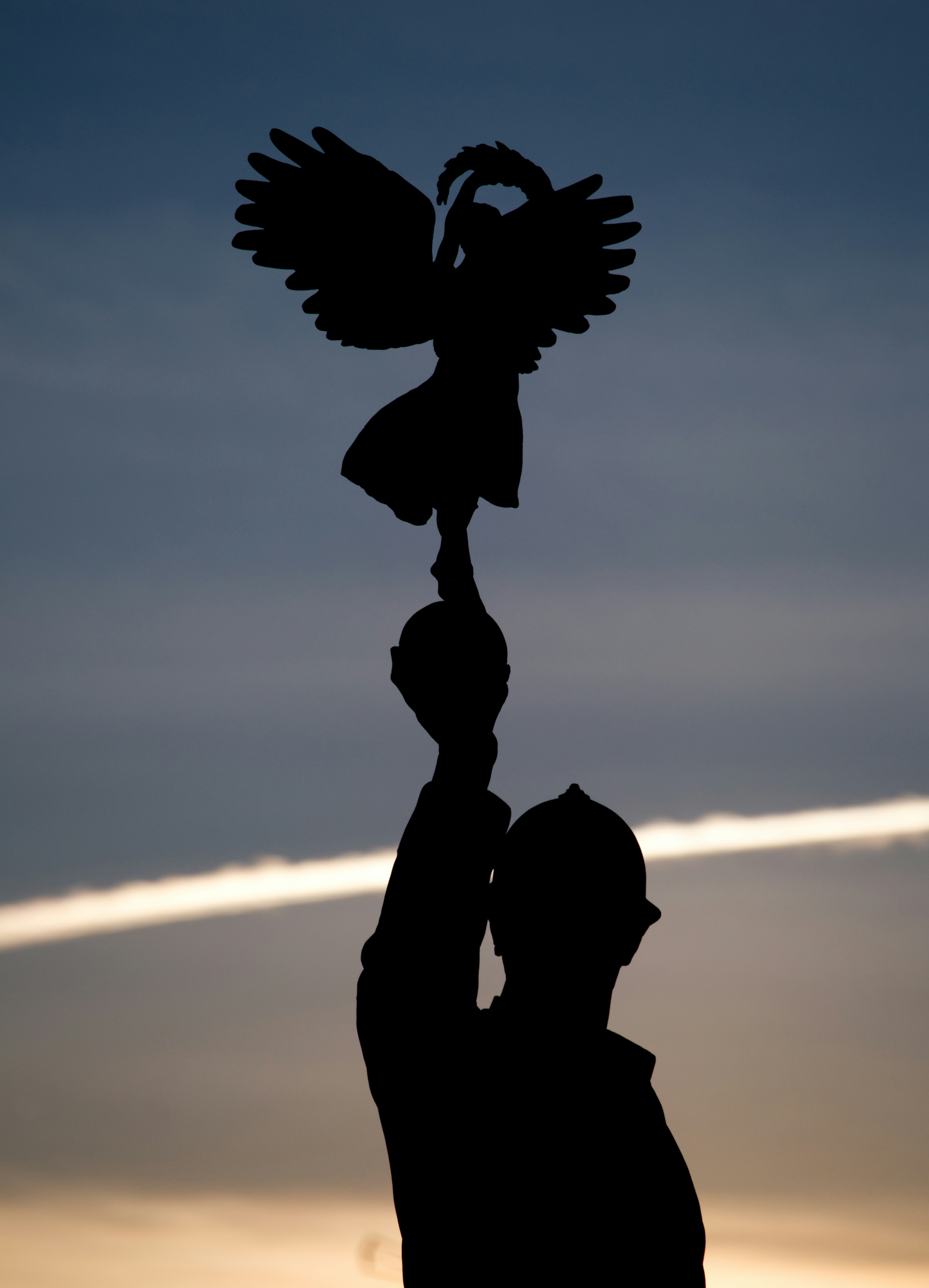 Silhouette of a statue against a sunset sky