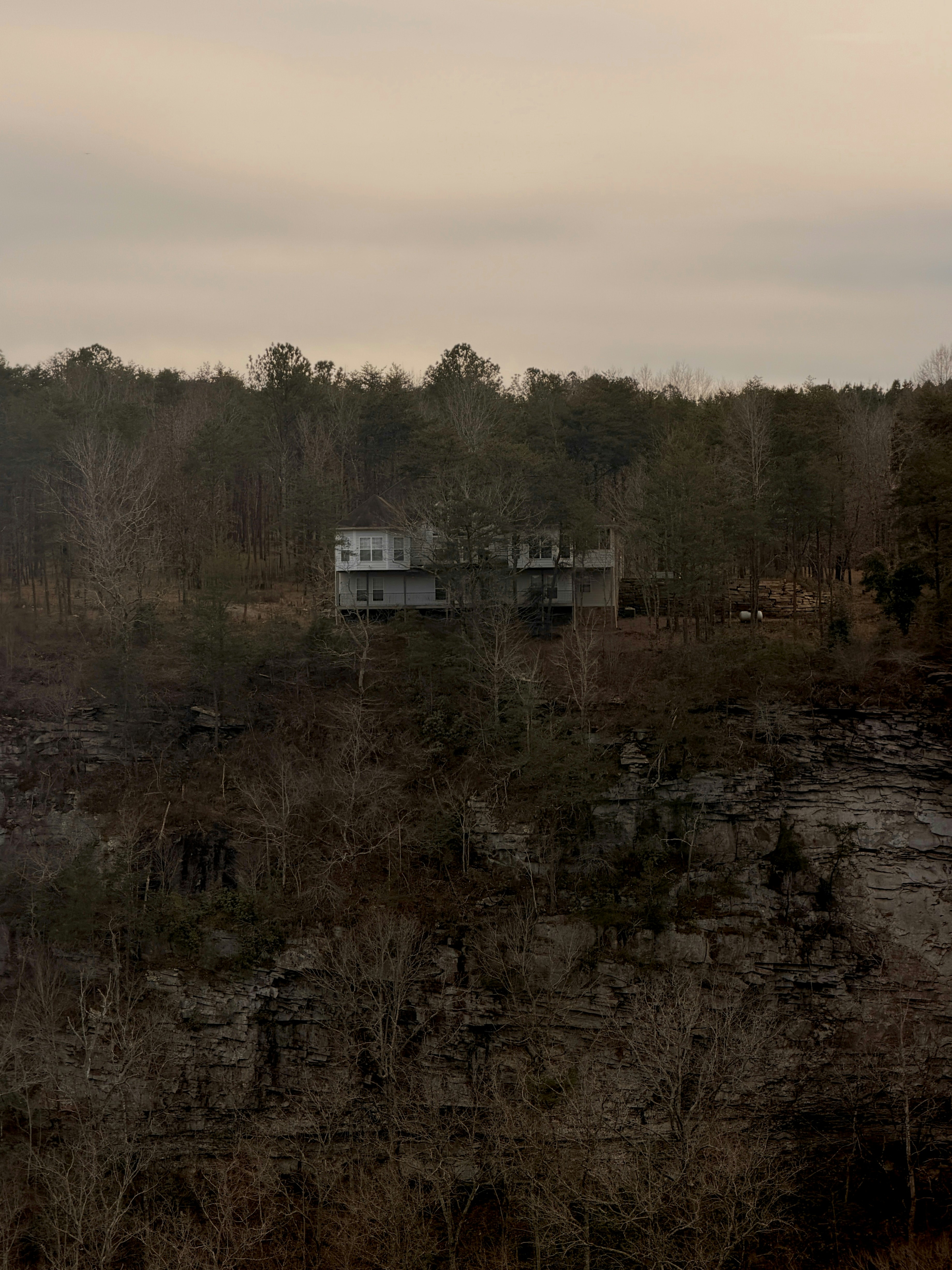 House on a hill surrounded by trees