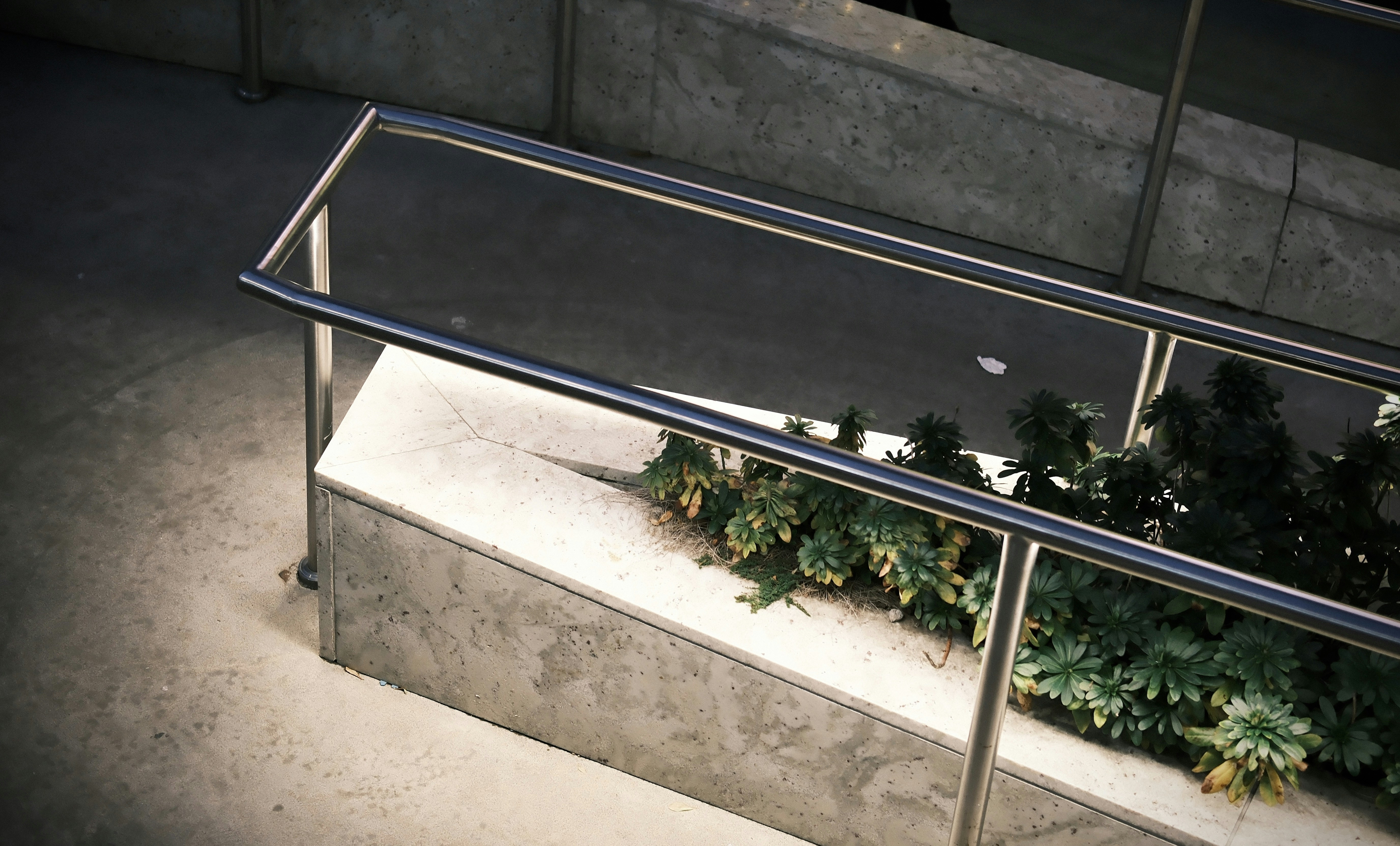 A professionally designed railing planter with mixed heights and colors - flower ideas for railing planters