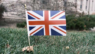 Union jack flag planted in green grass