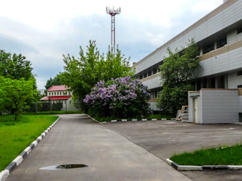 Building with flowering lilac bush and cell tower.