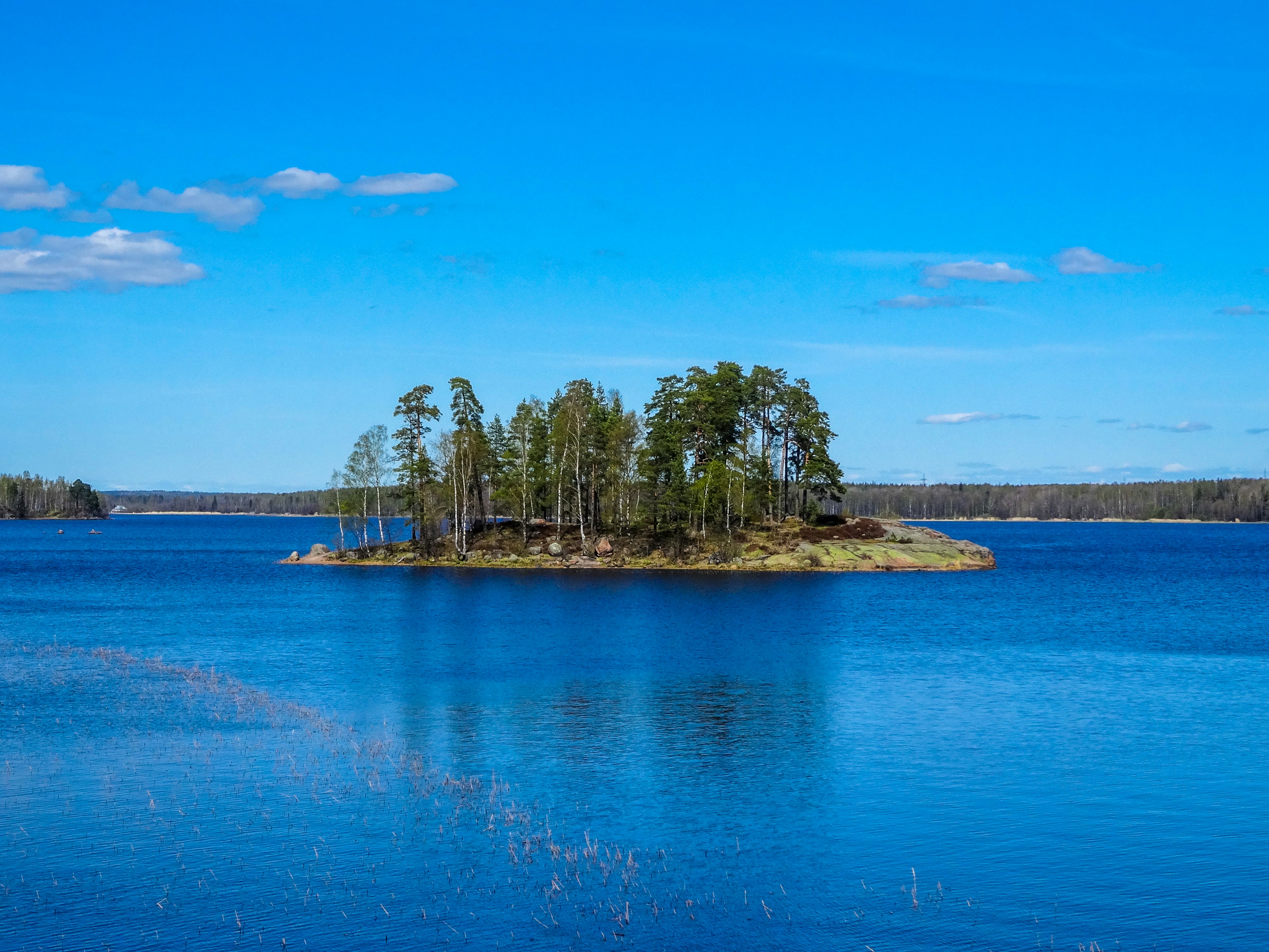 Photo by nikolaikolosov