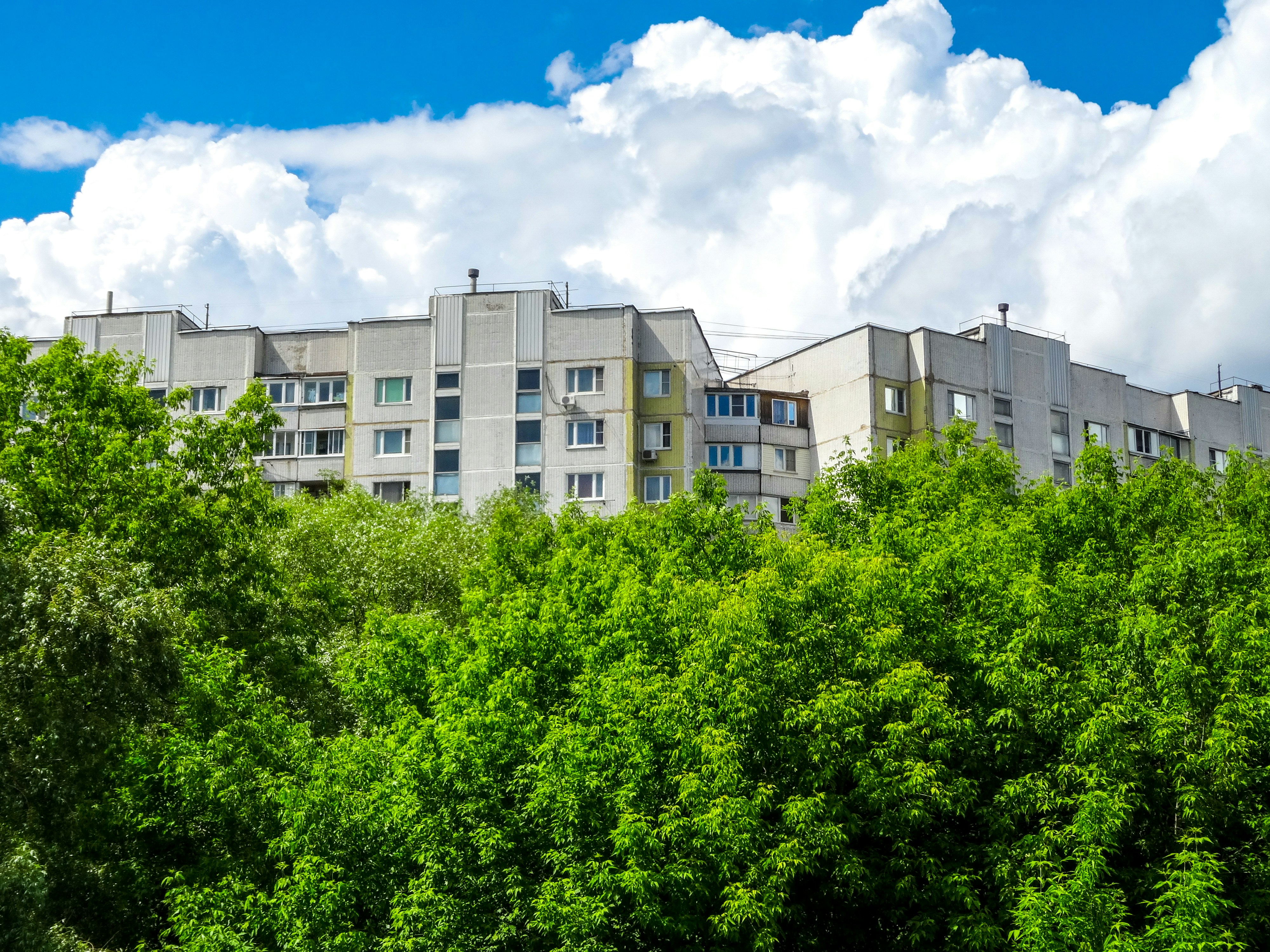 Photo by nikolaikolosov