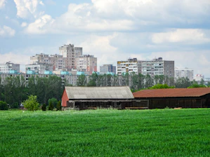 Barns in a field with city buildings behind