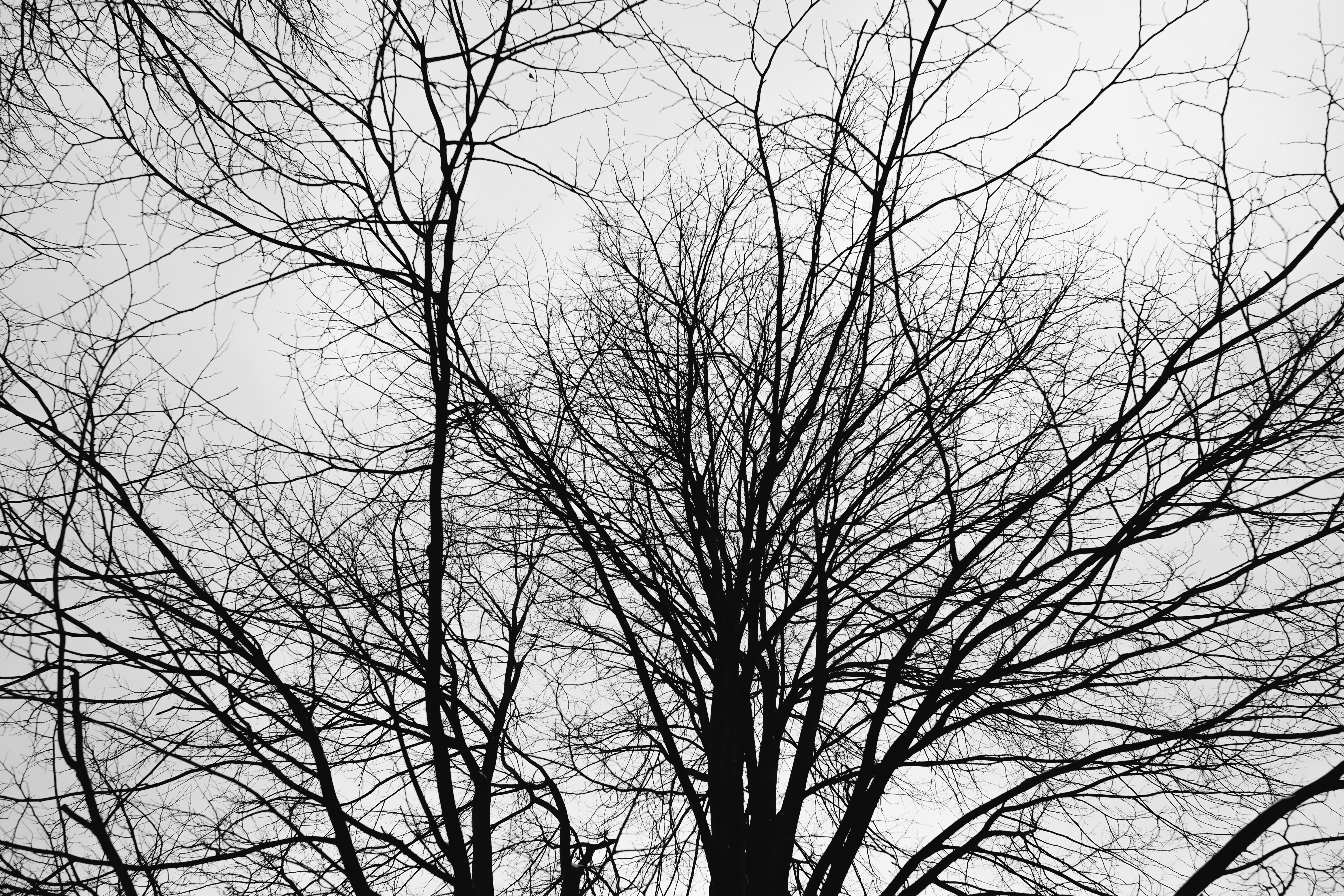 Photo by wesleyphotography