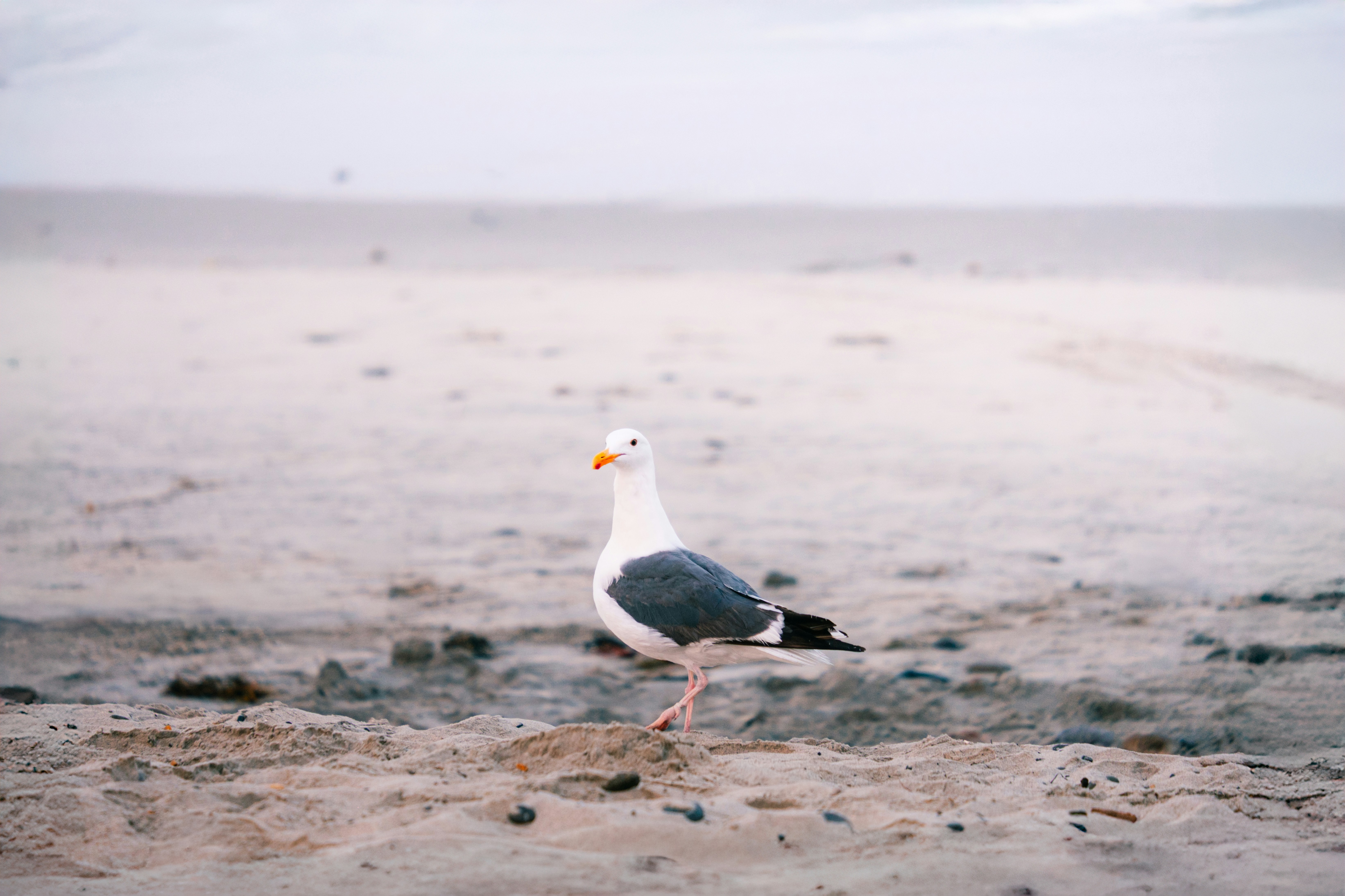 Photo by wesleyphotography