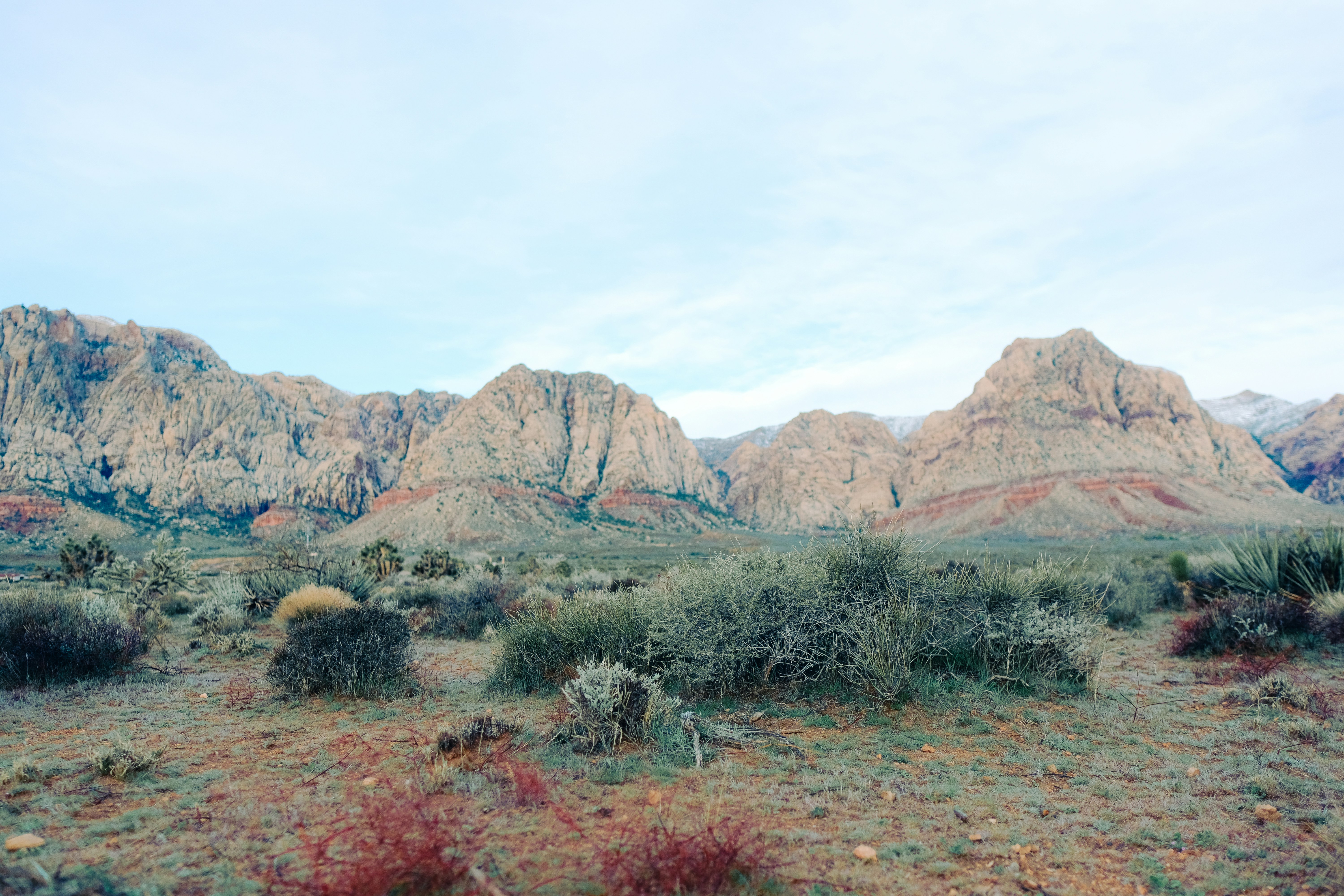 Photo by wesleyphotography