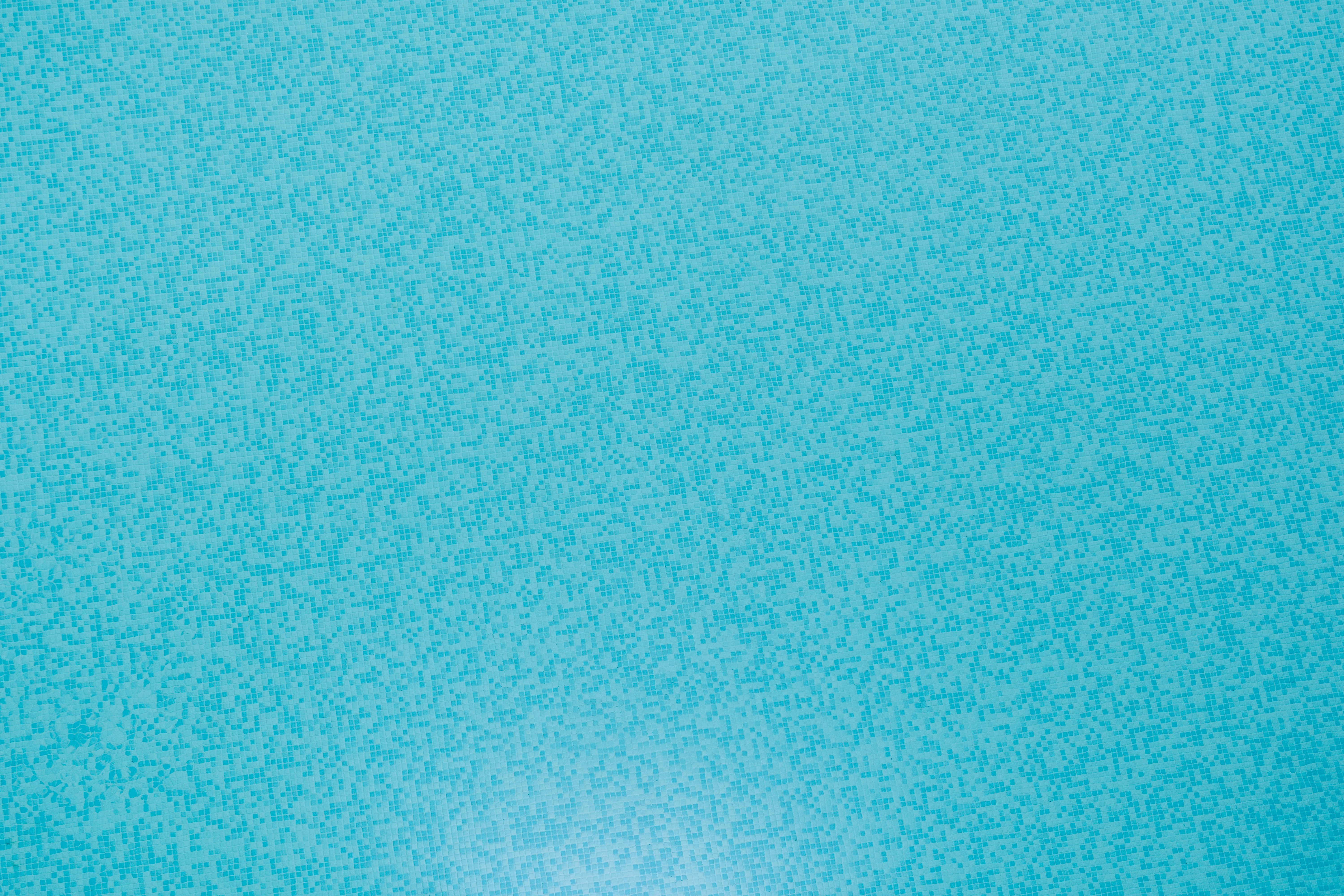 Photo by wesleyphotography