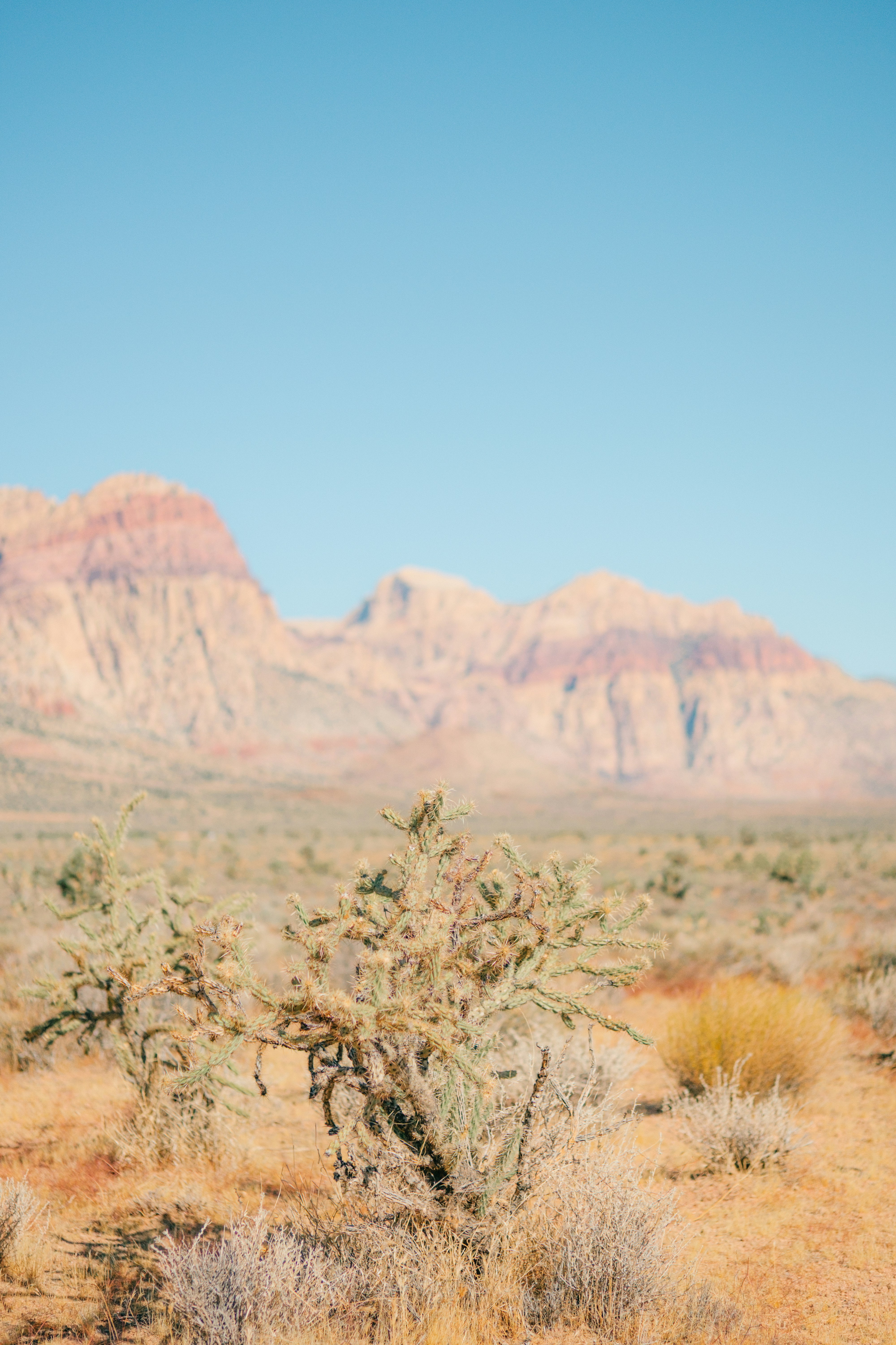 Photo by wesleyphotography