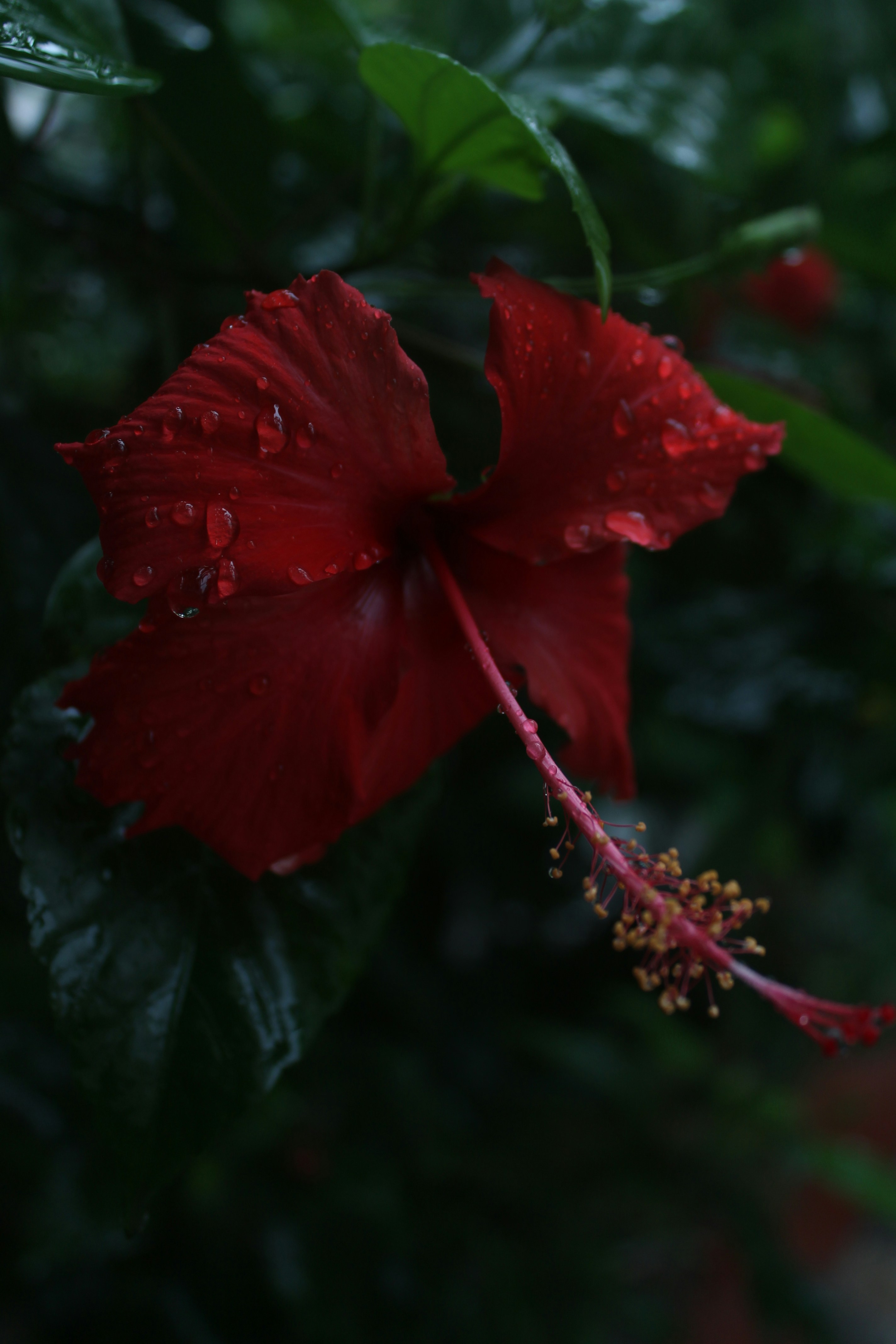 Photo by varun_venugopal