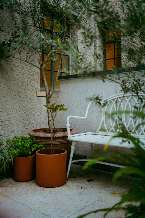 White bench in a courtyard with potted plants.