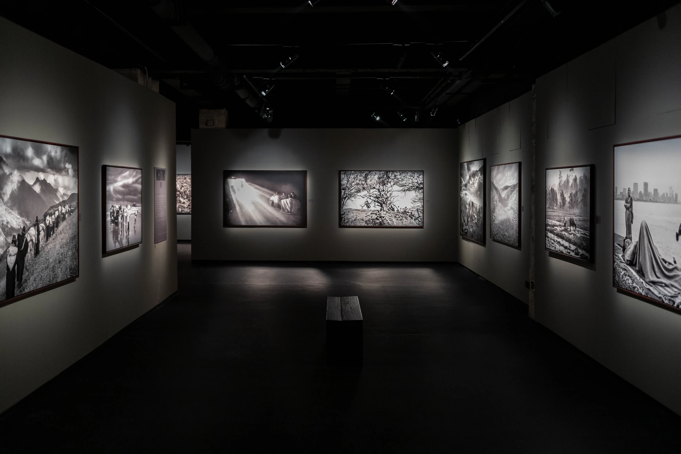Quiet black-and-white photography exhibition presented in a dark gallery
