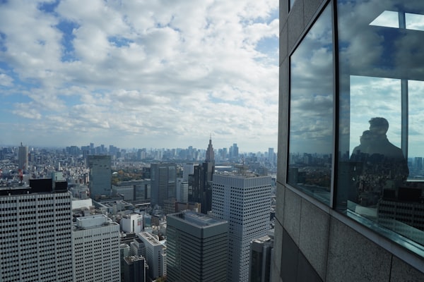 Tokyu Kabukicho Tower Observation Area