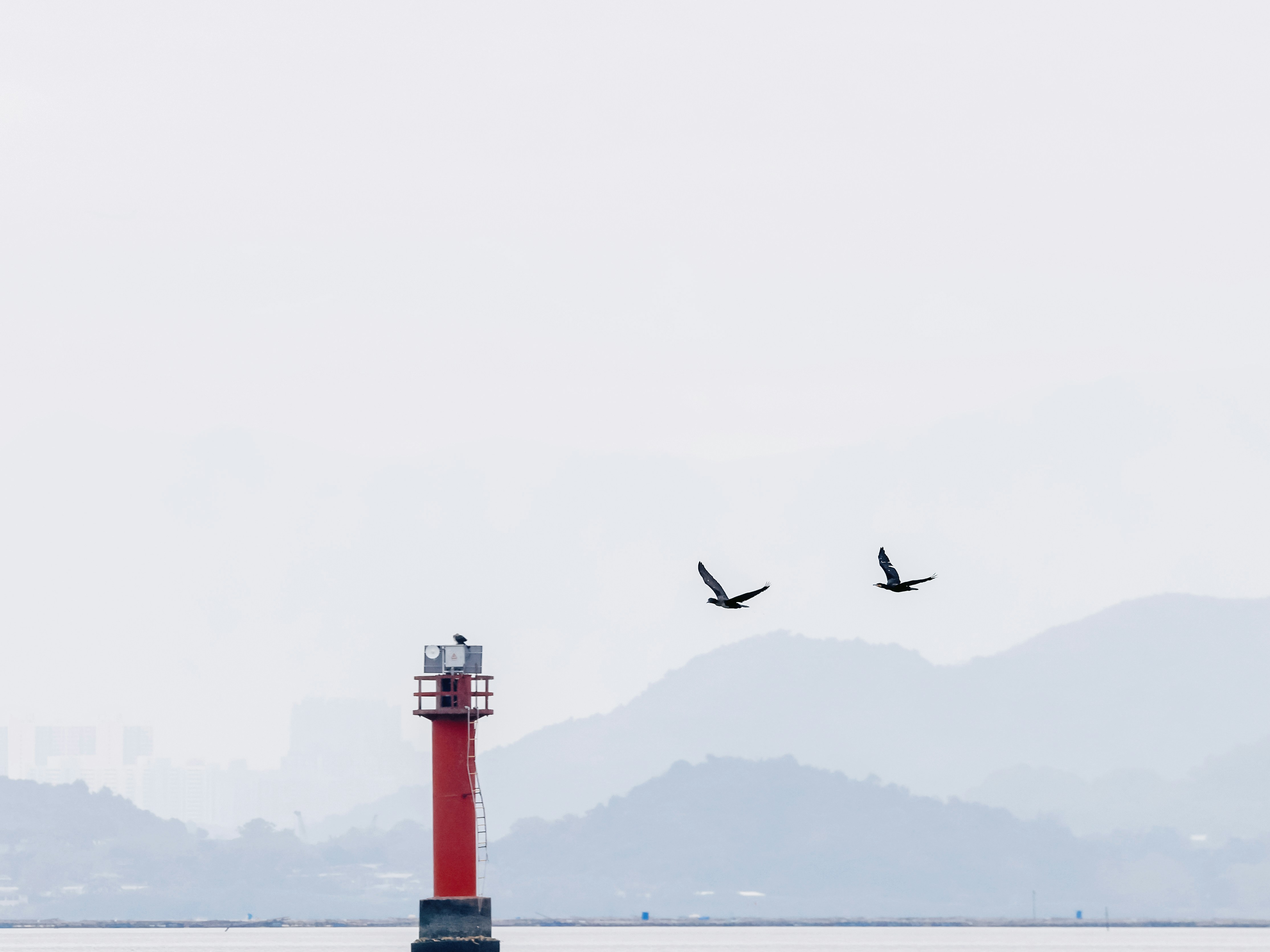 Created with RNI Films app. Profile 'Agfa Optima 200'