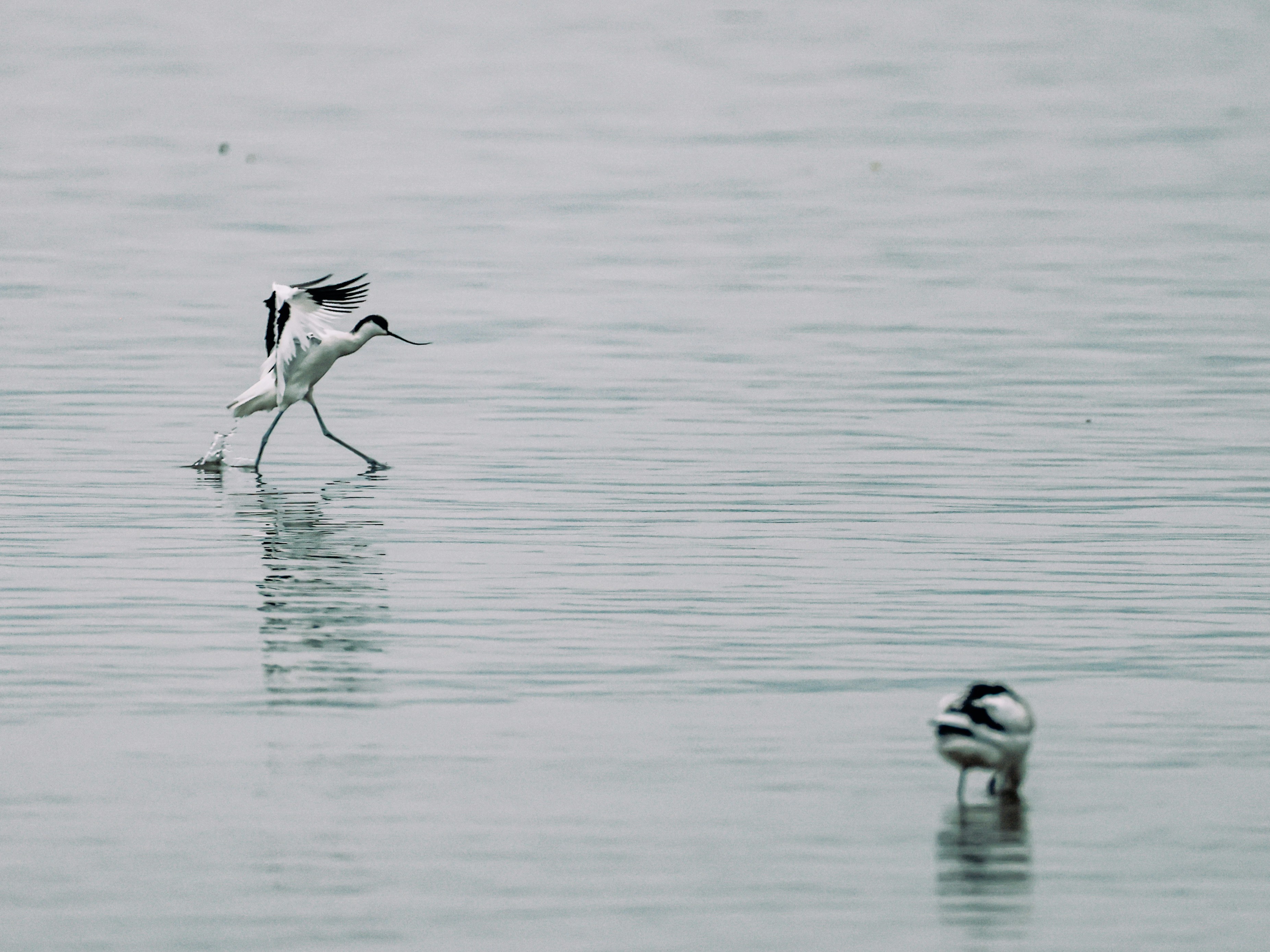 Photo by dickenslin76