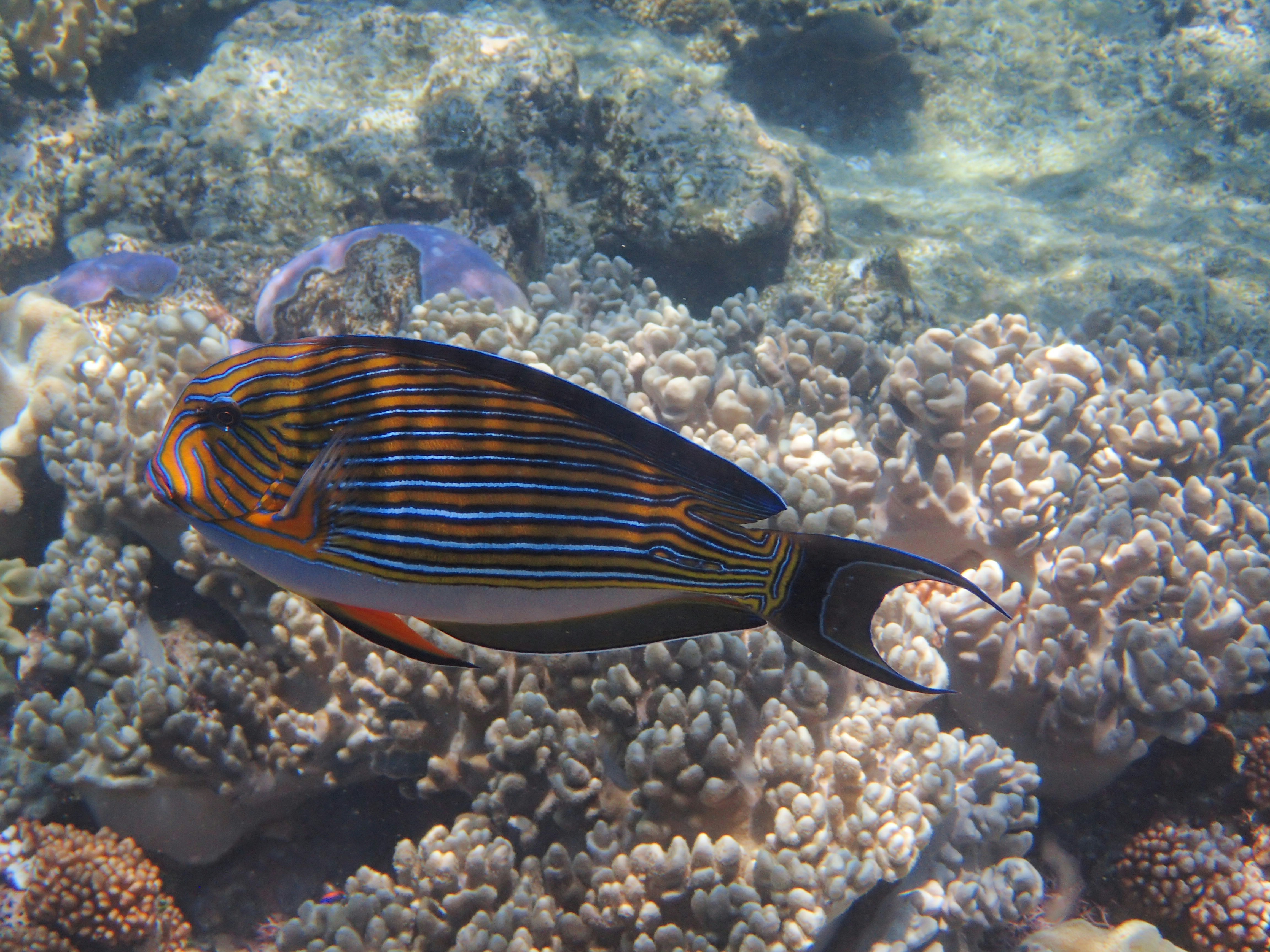 Photo by mrlphotography