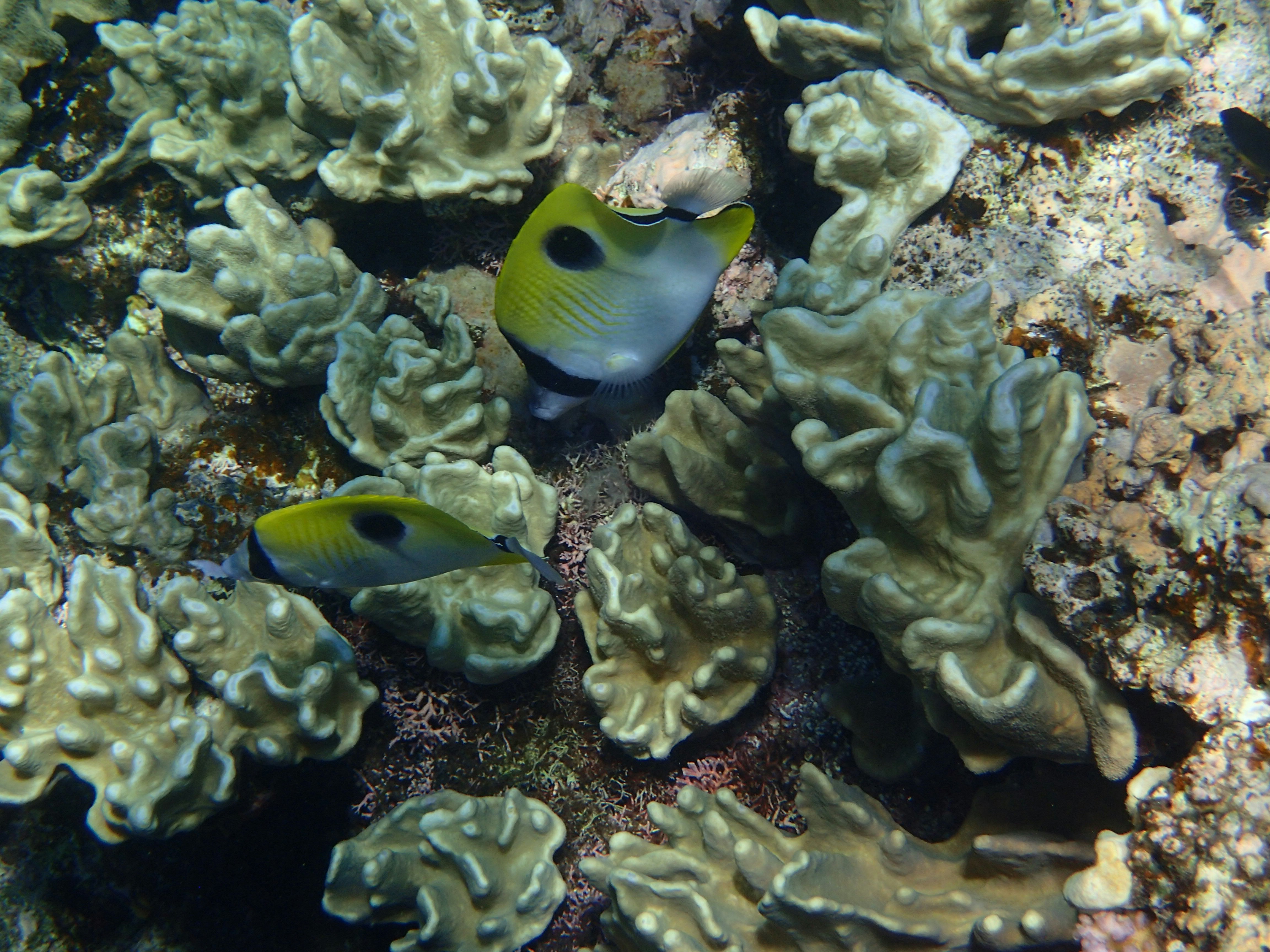 Photo by mrlphotography