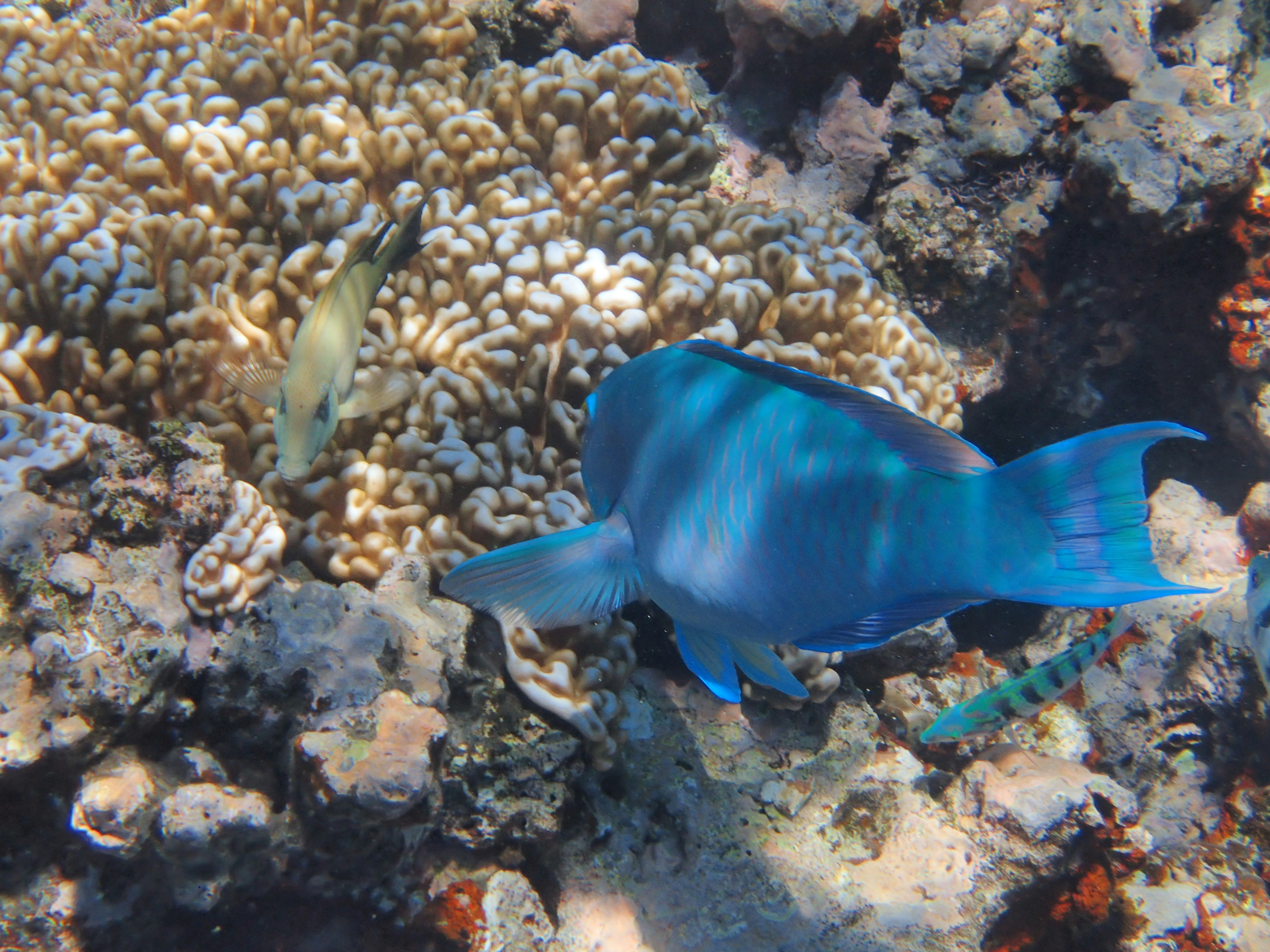 Photo by mrlphotography