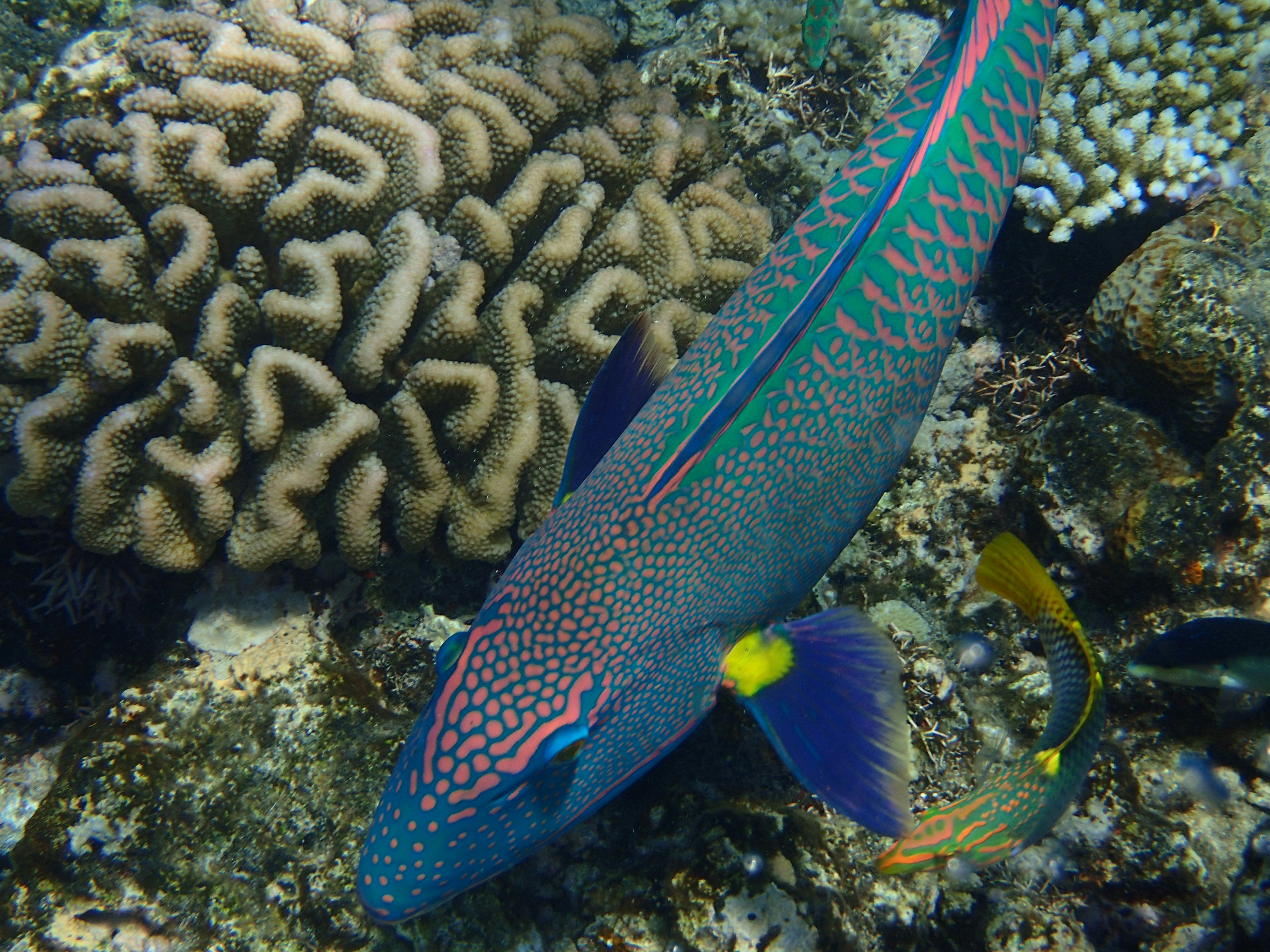 Photo by mrlphotography