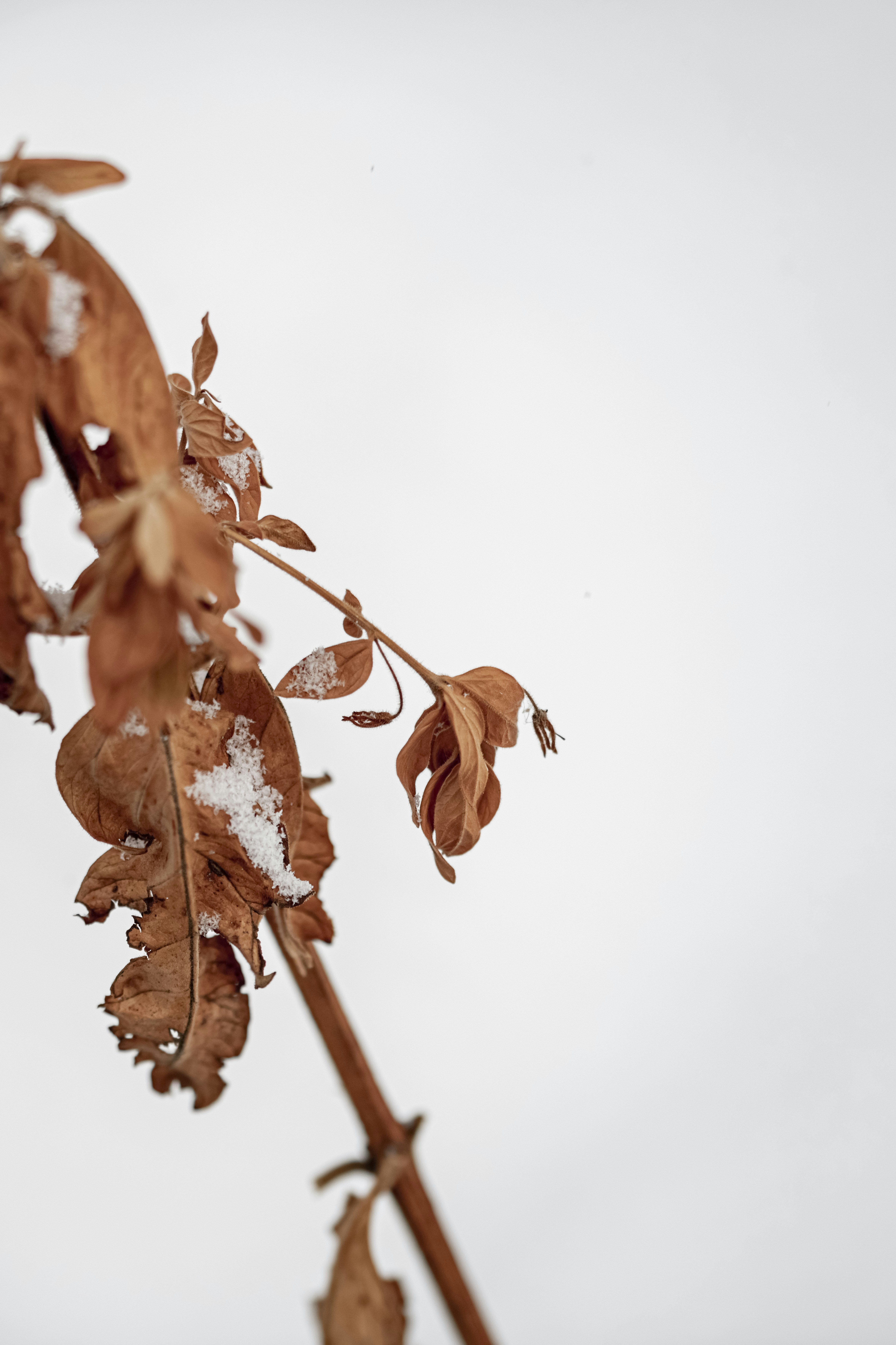 Photo by lauraadaiphoto