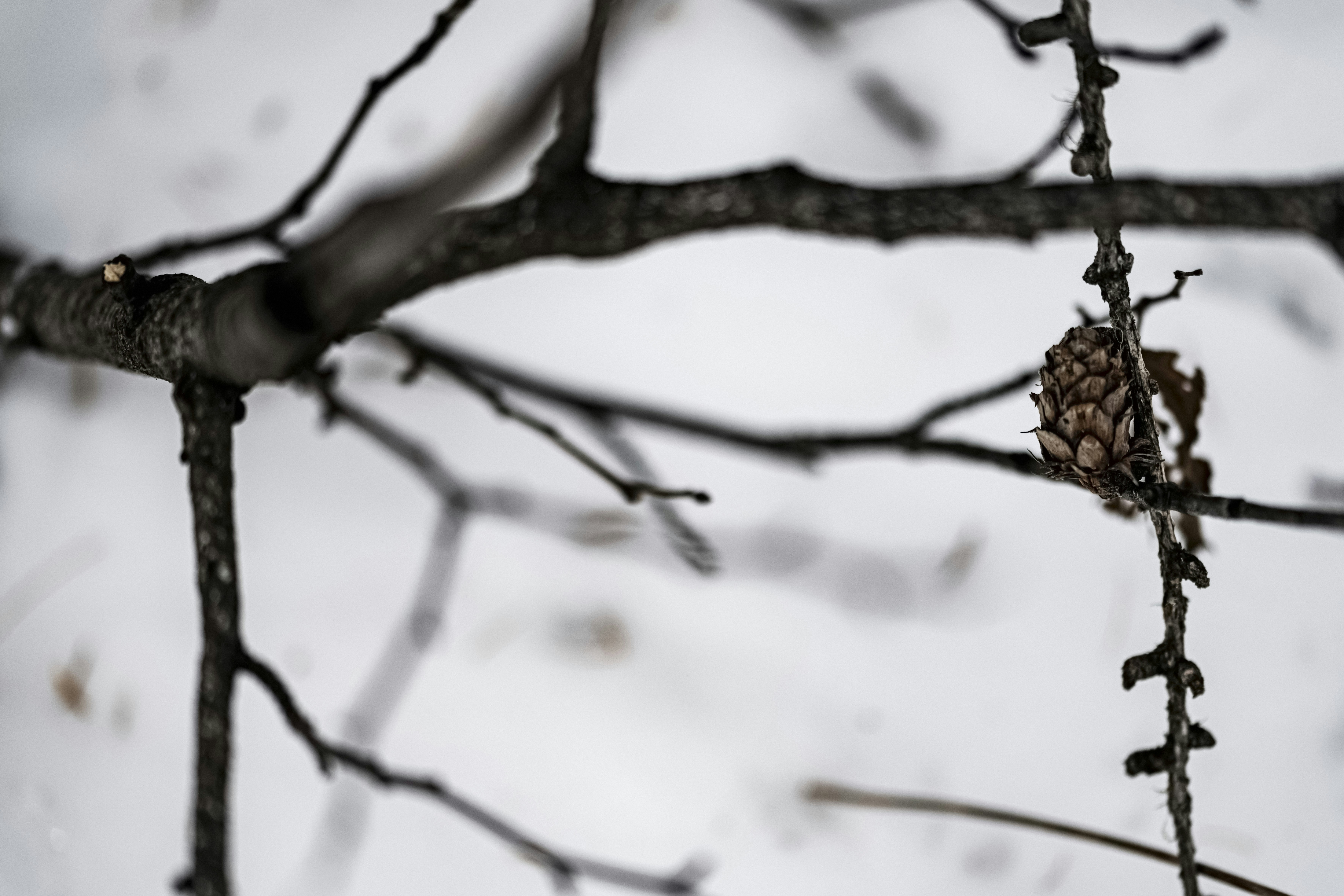 Photo by lauraadaiphoto