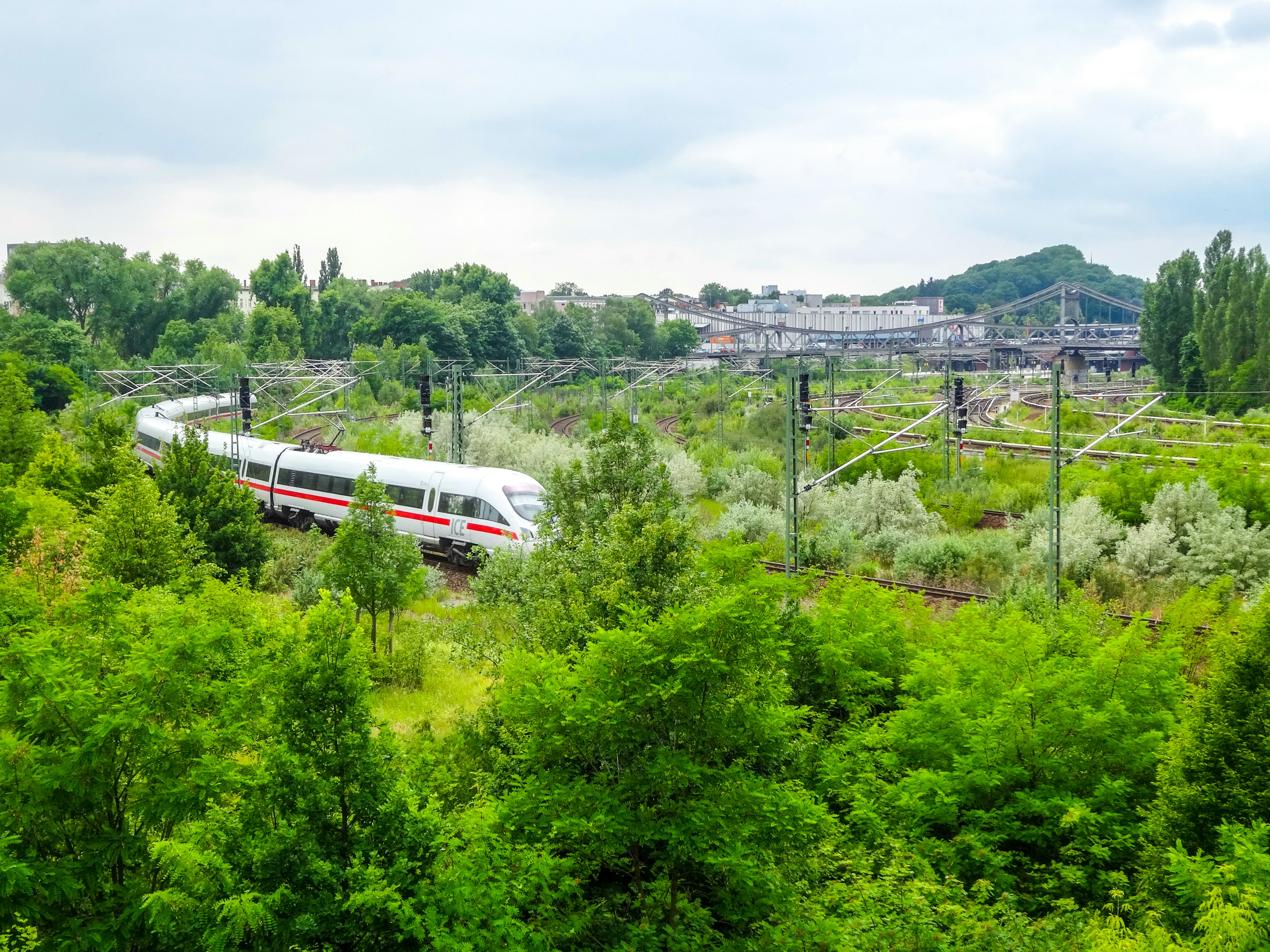 A white train travels through lush green trees.