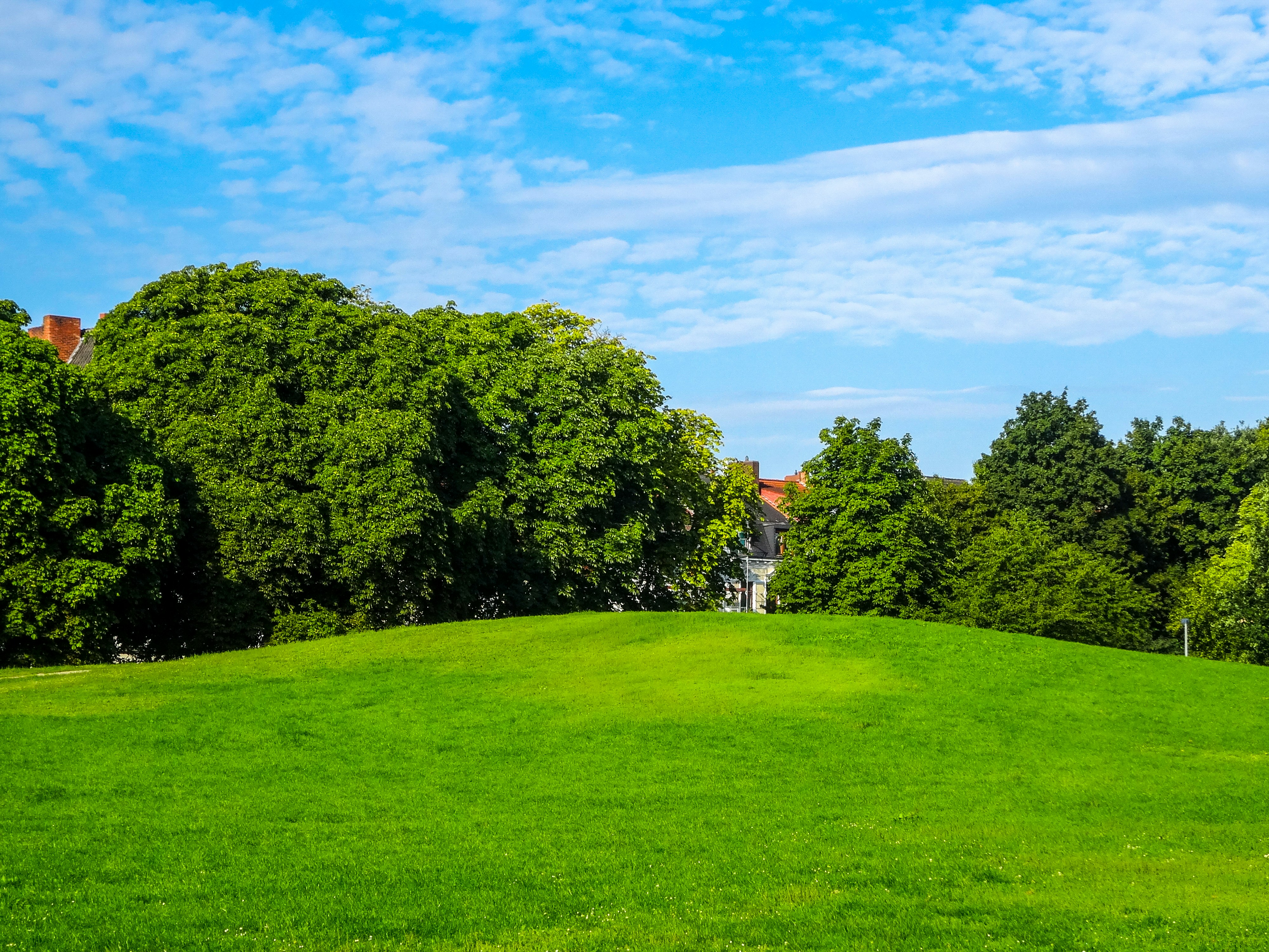 Photo by nikolaikolosov