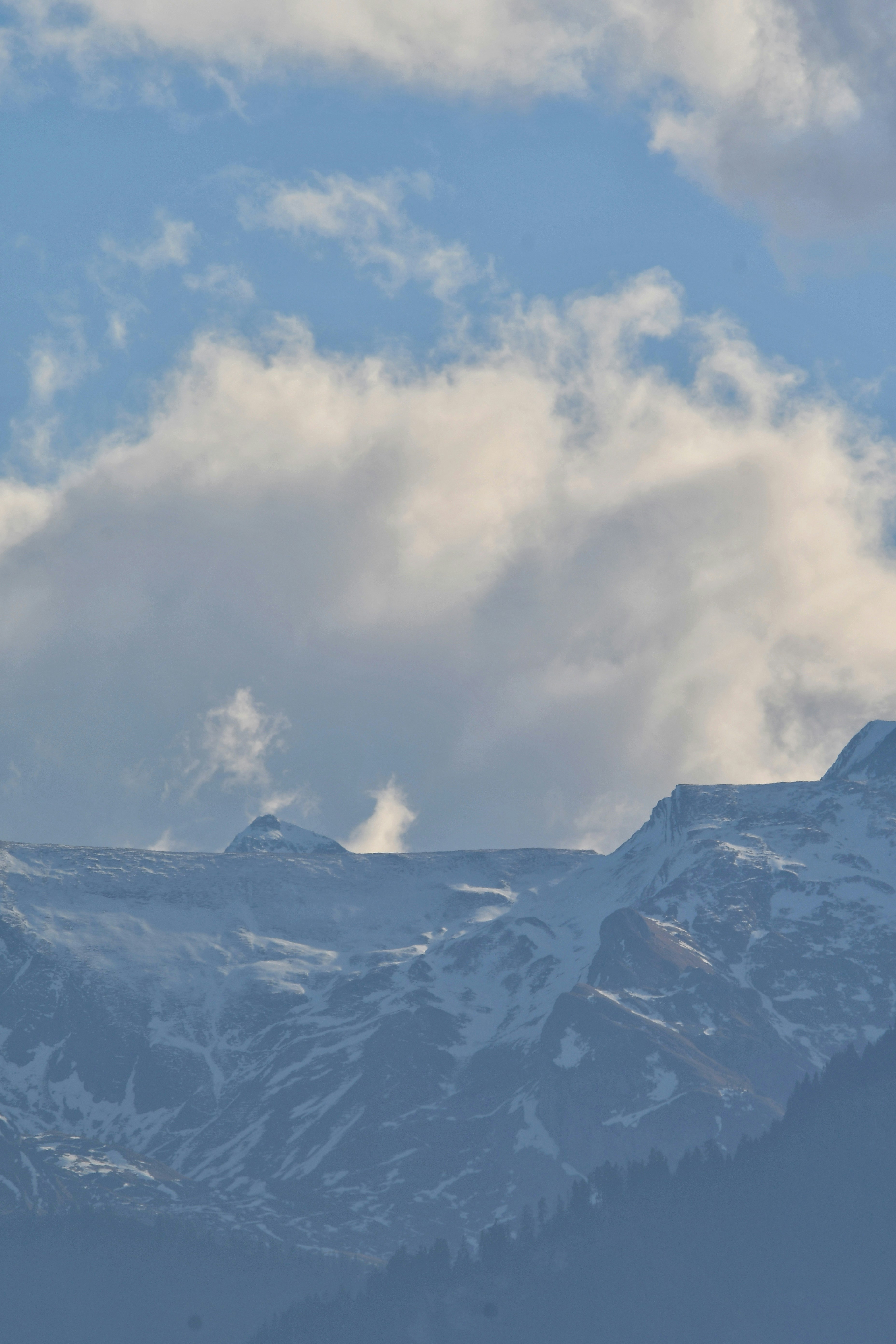 Photo by pedrino5_official