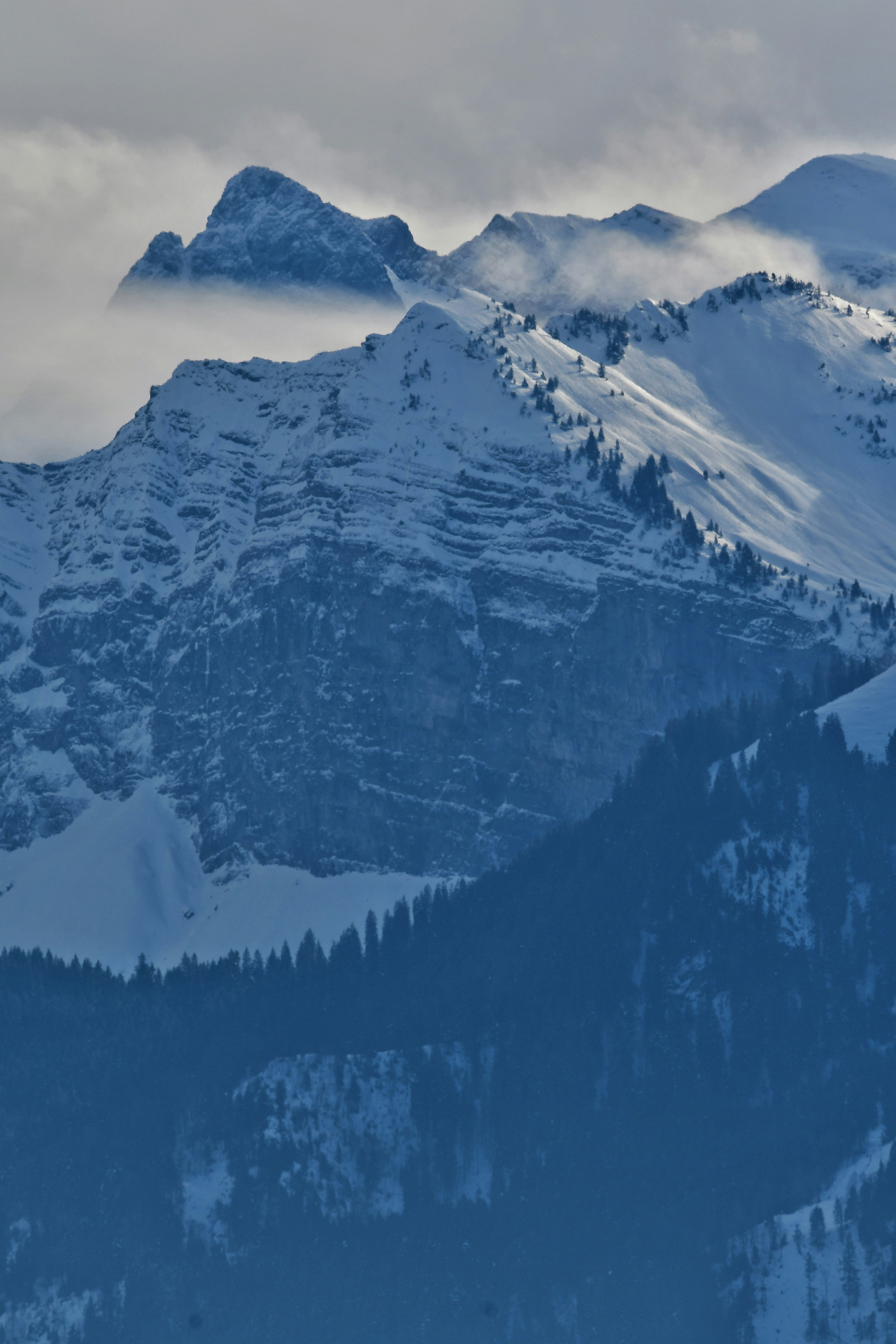 Photo by pedrino5_official