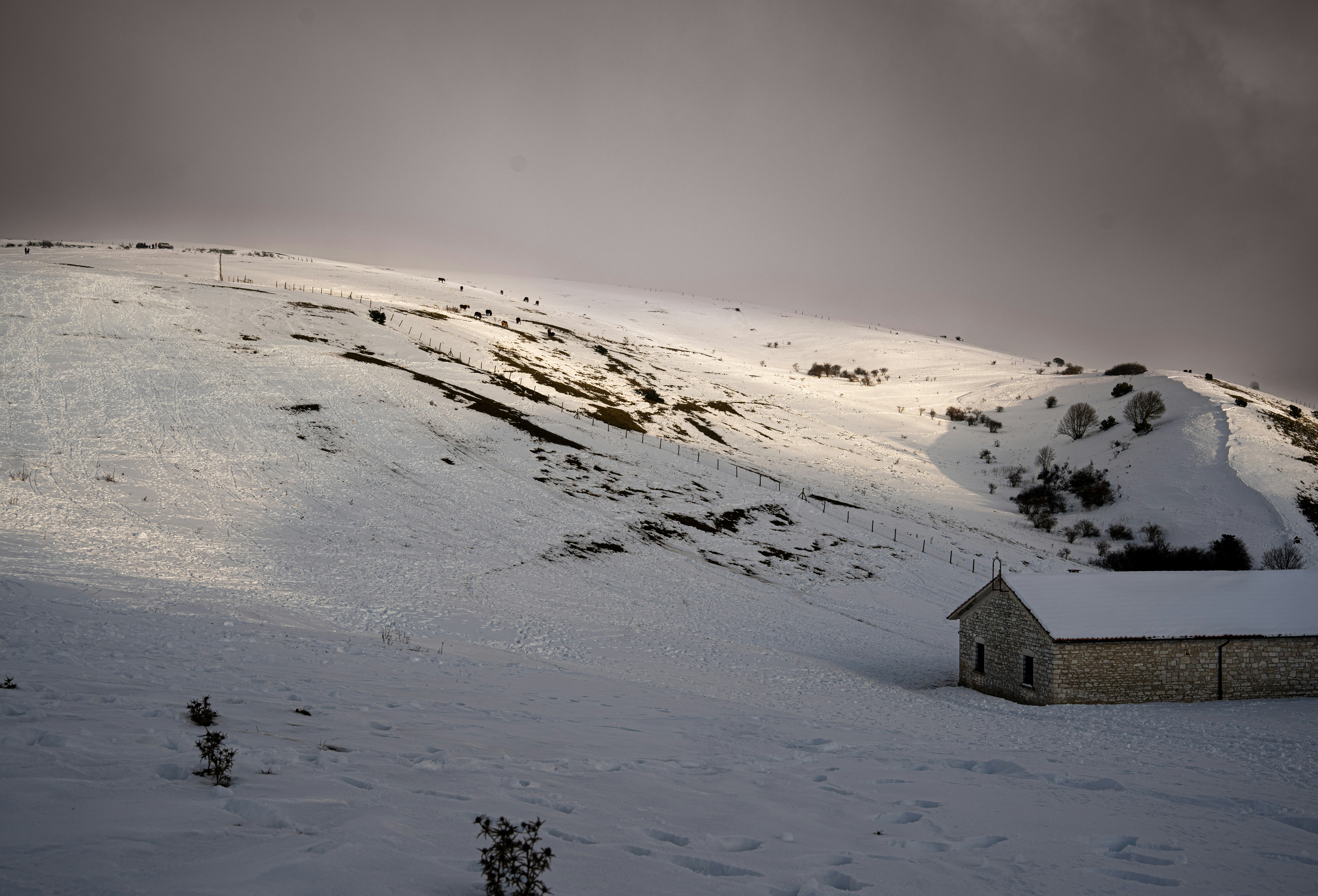 Photo by 3starsgraphics