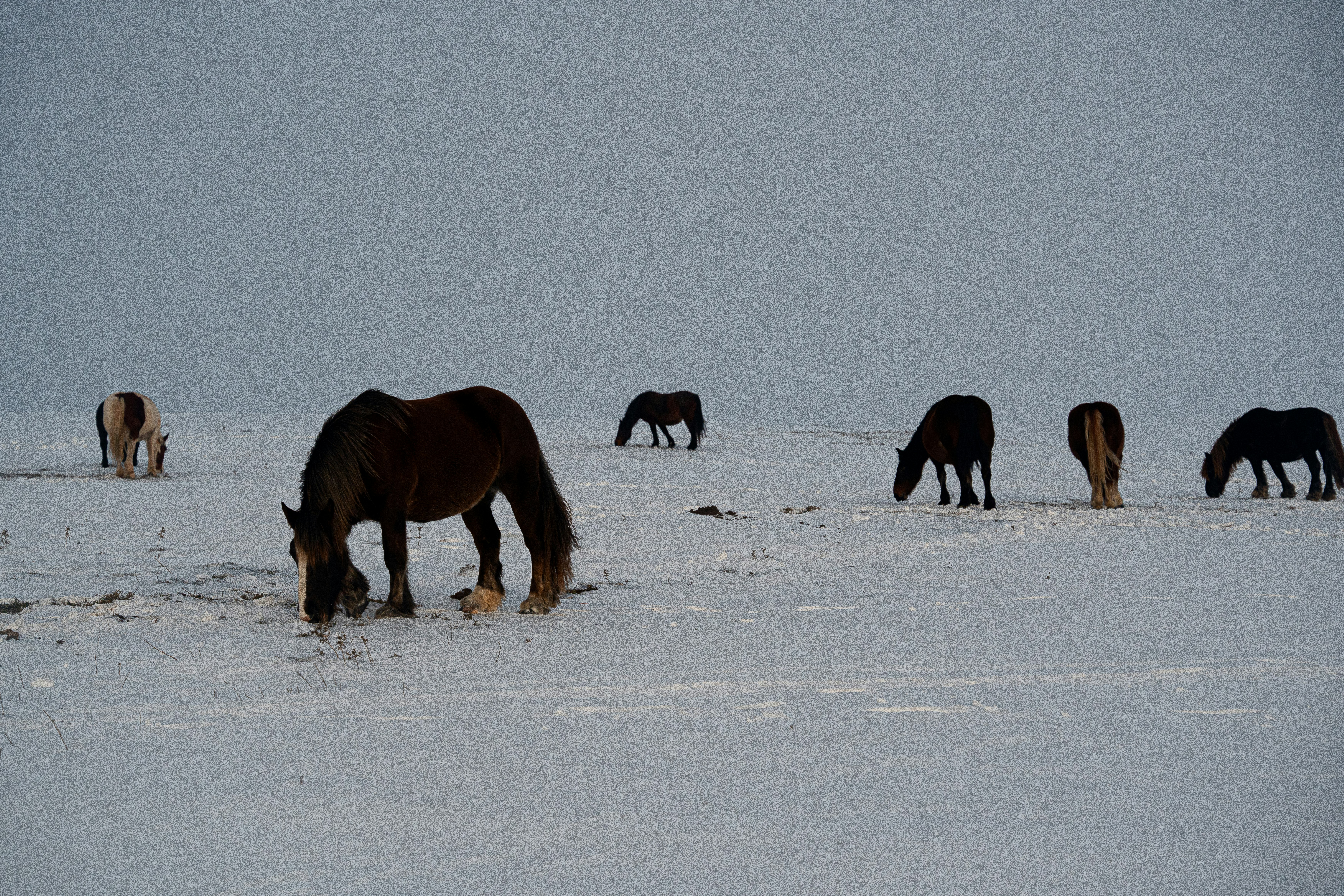 Photo by 3starsgraphics